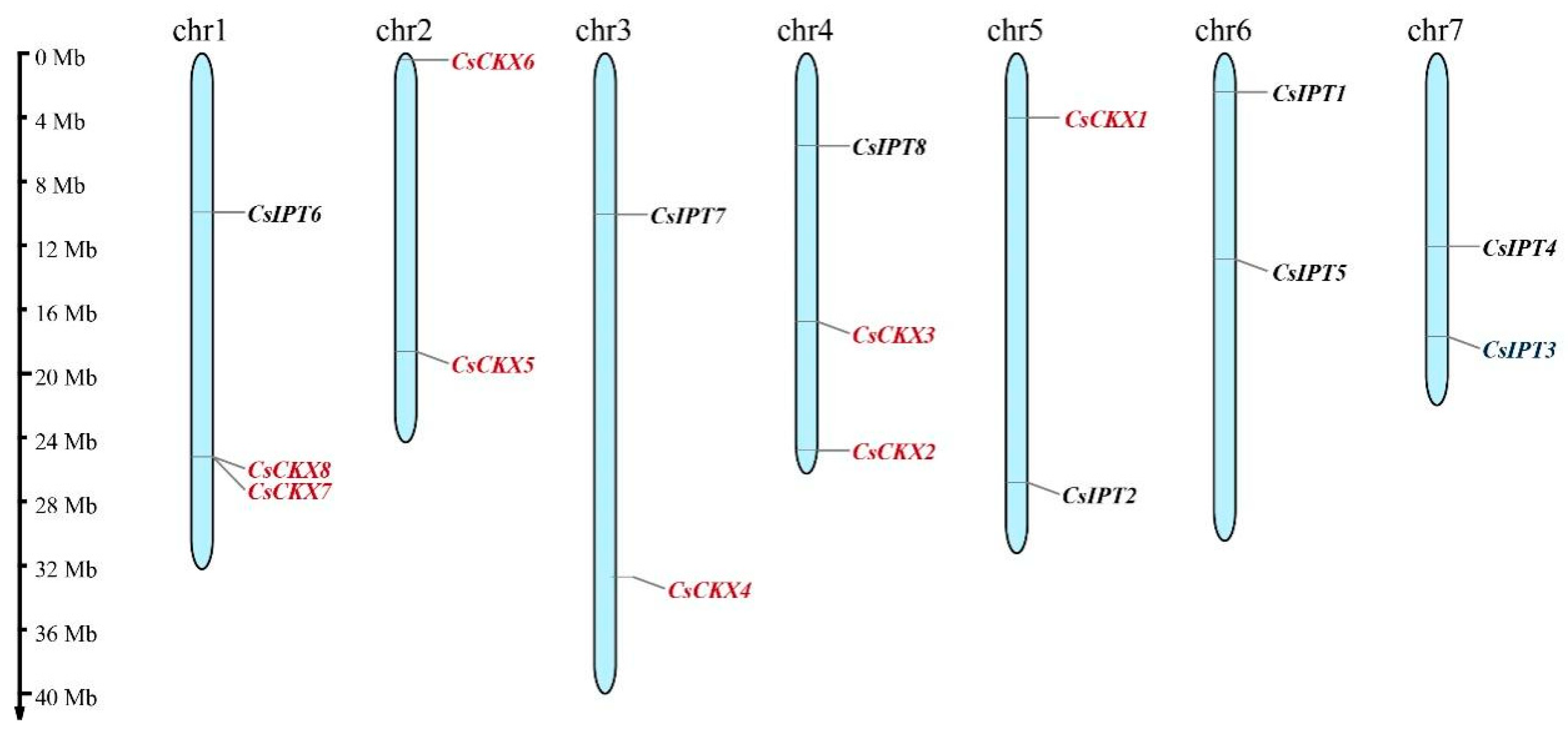 Plants 13 00422 g002