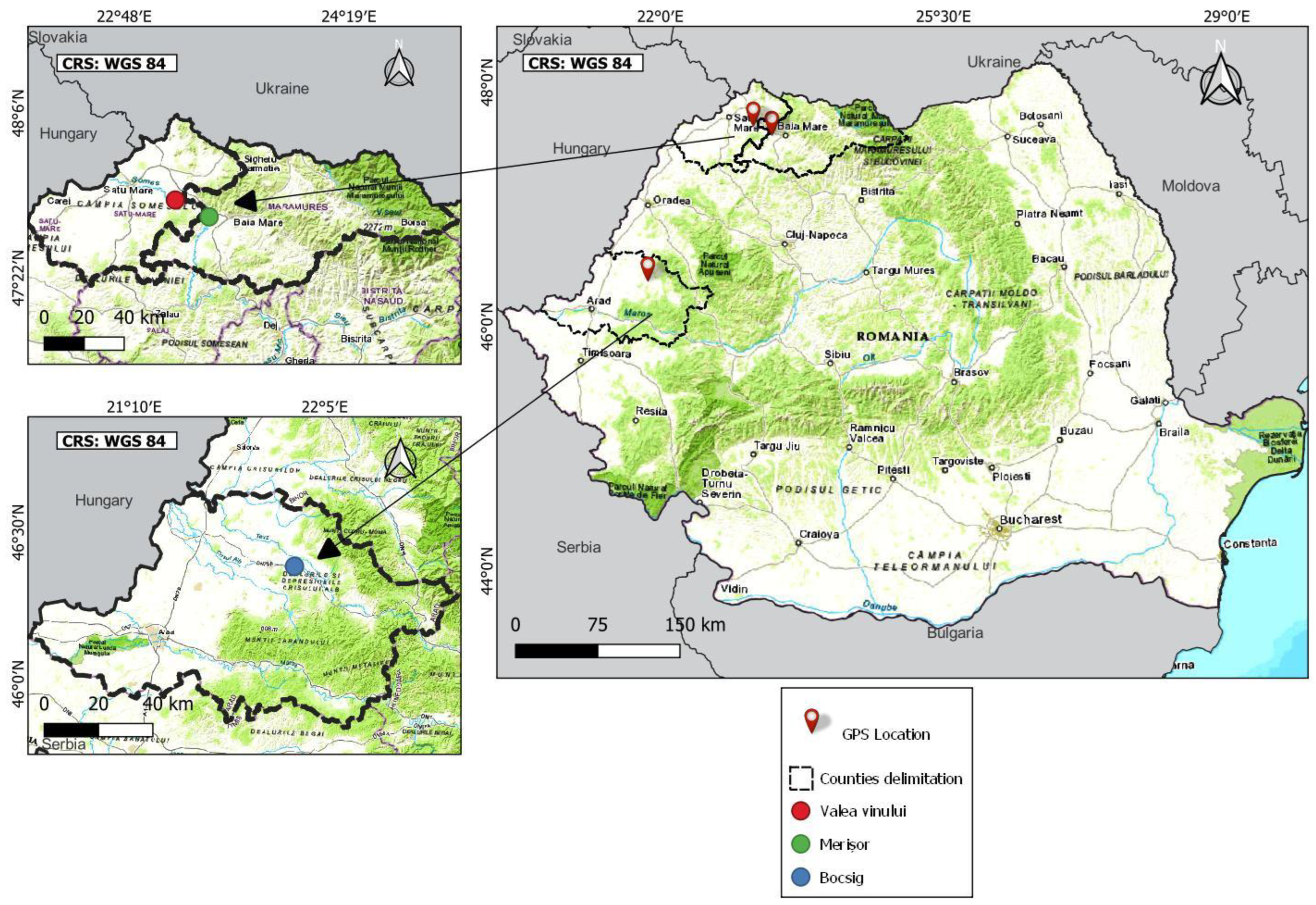 Plants 13 00428 g002
