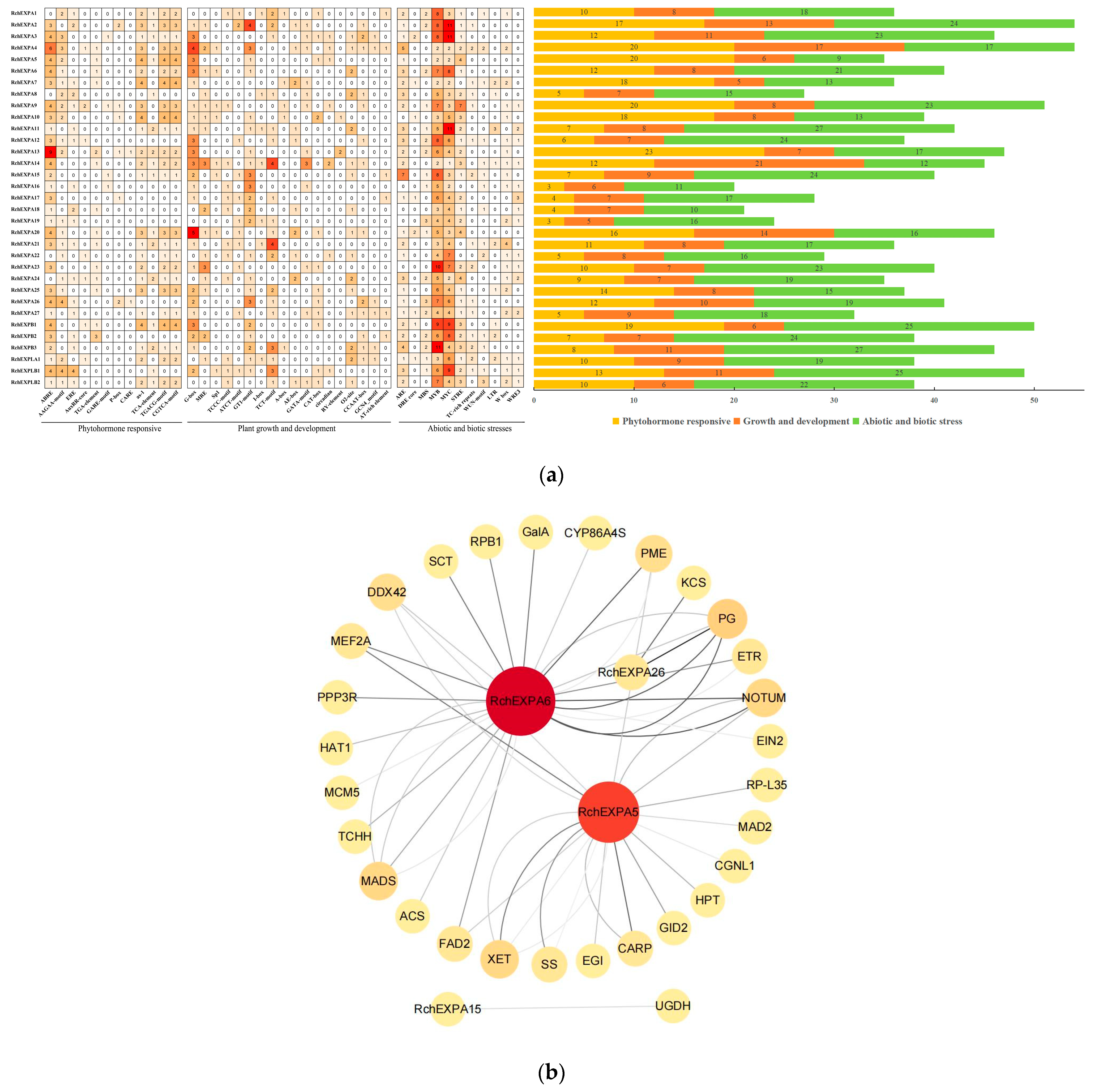 Plants 13 00431 g005