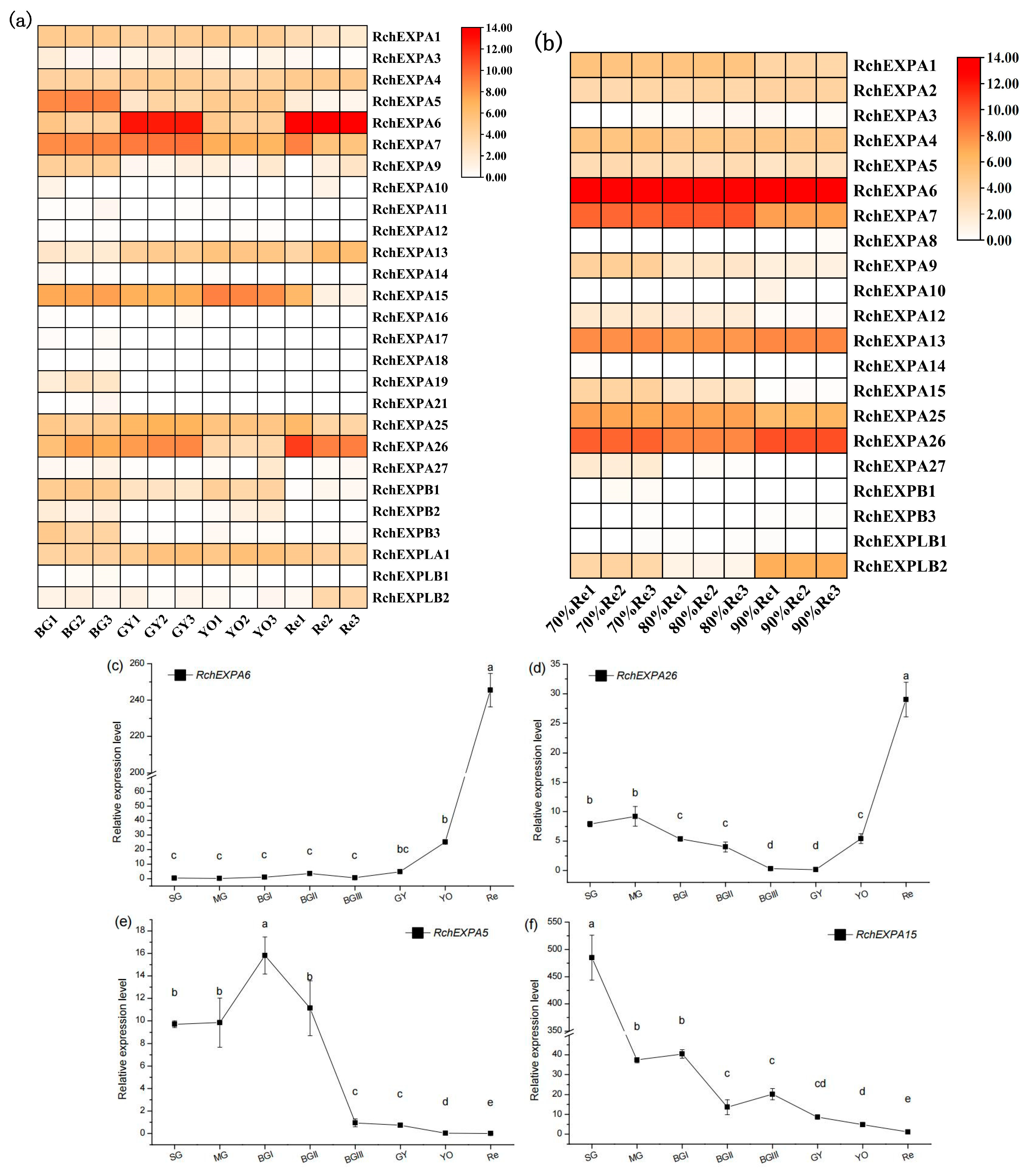 Plants 13 00431 g006
