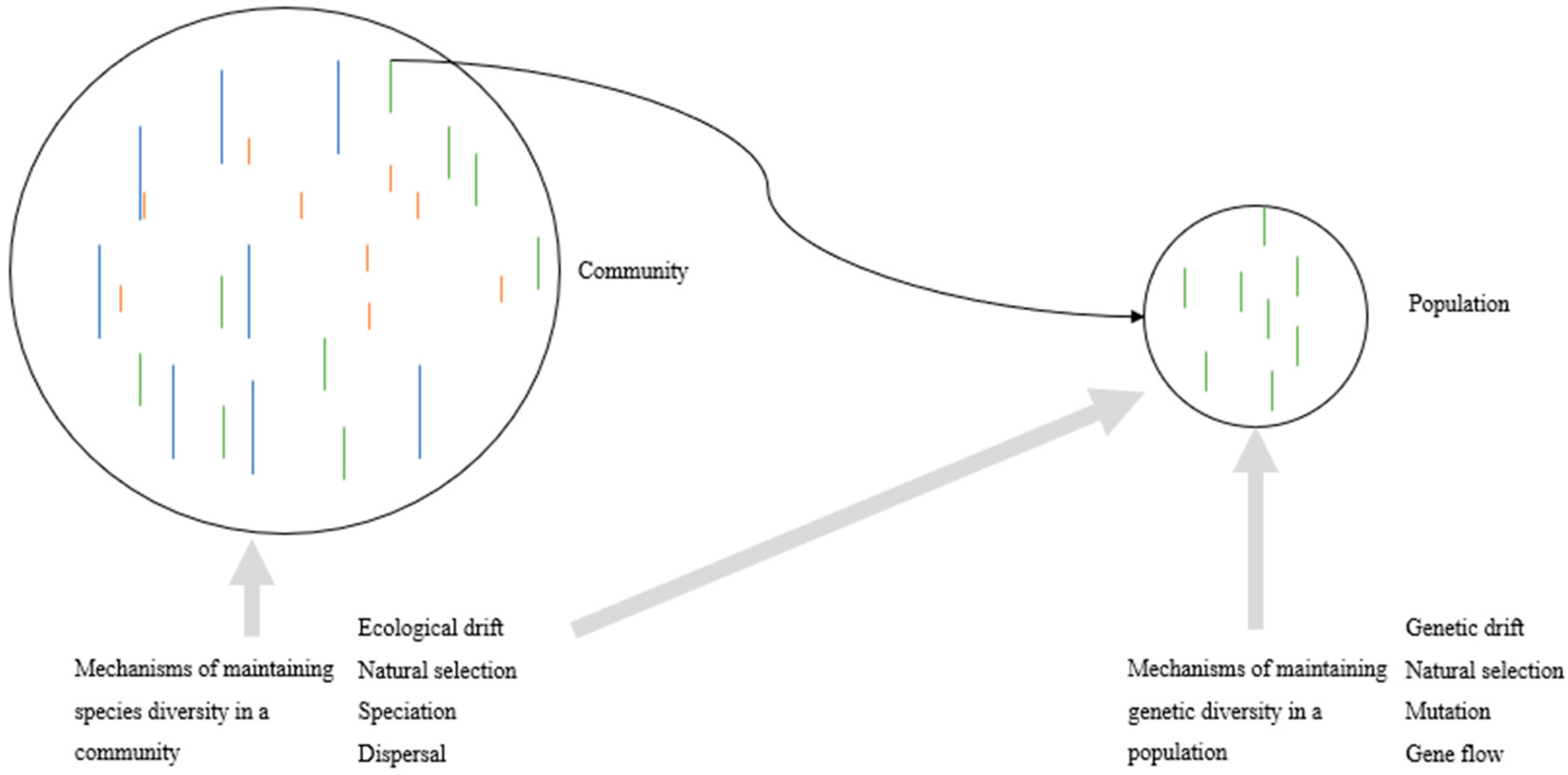 Plants 13 00435 g001 Plants 13 00435 g001