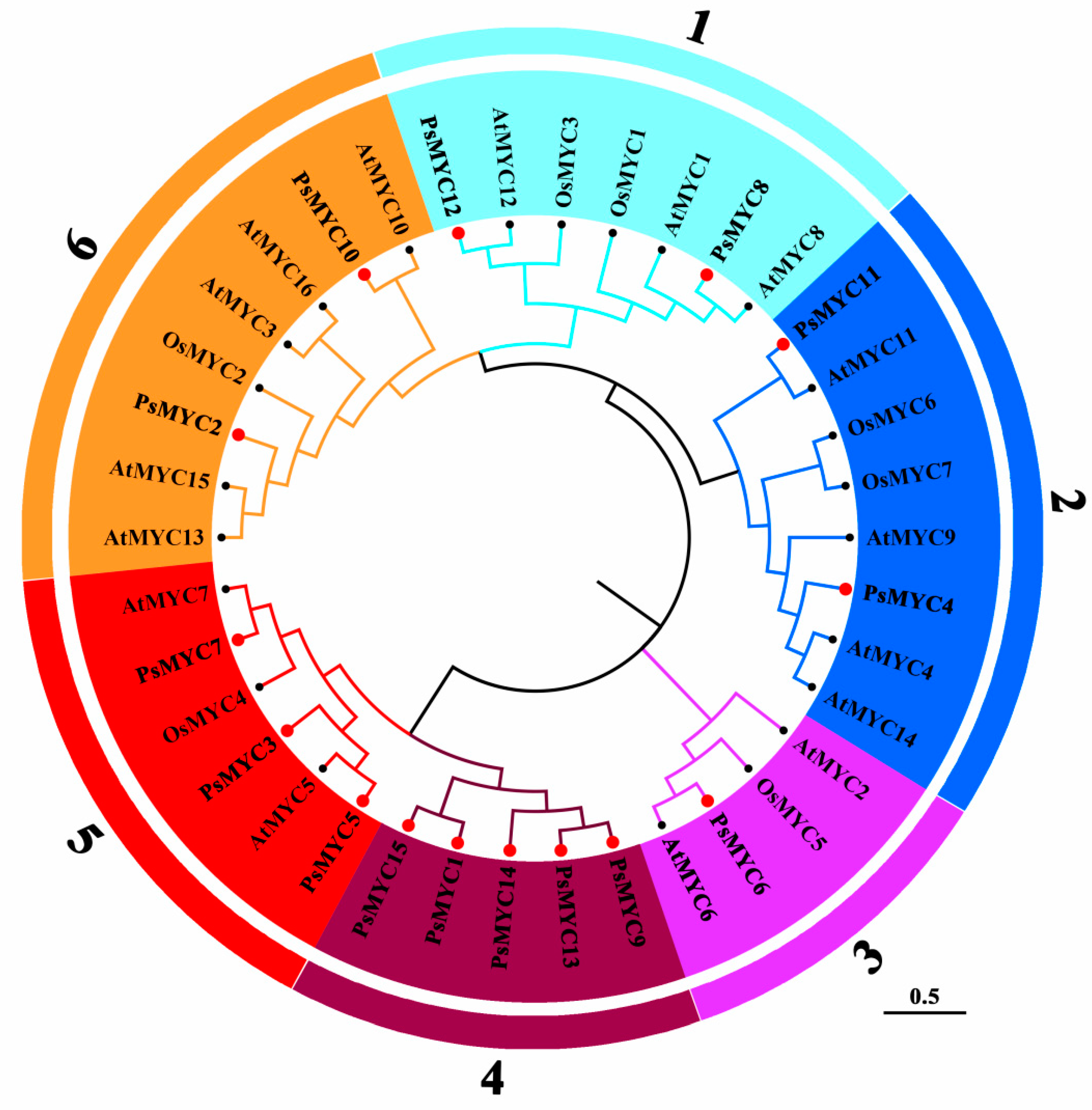 Plants 13 00437 g001