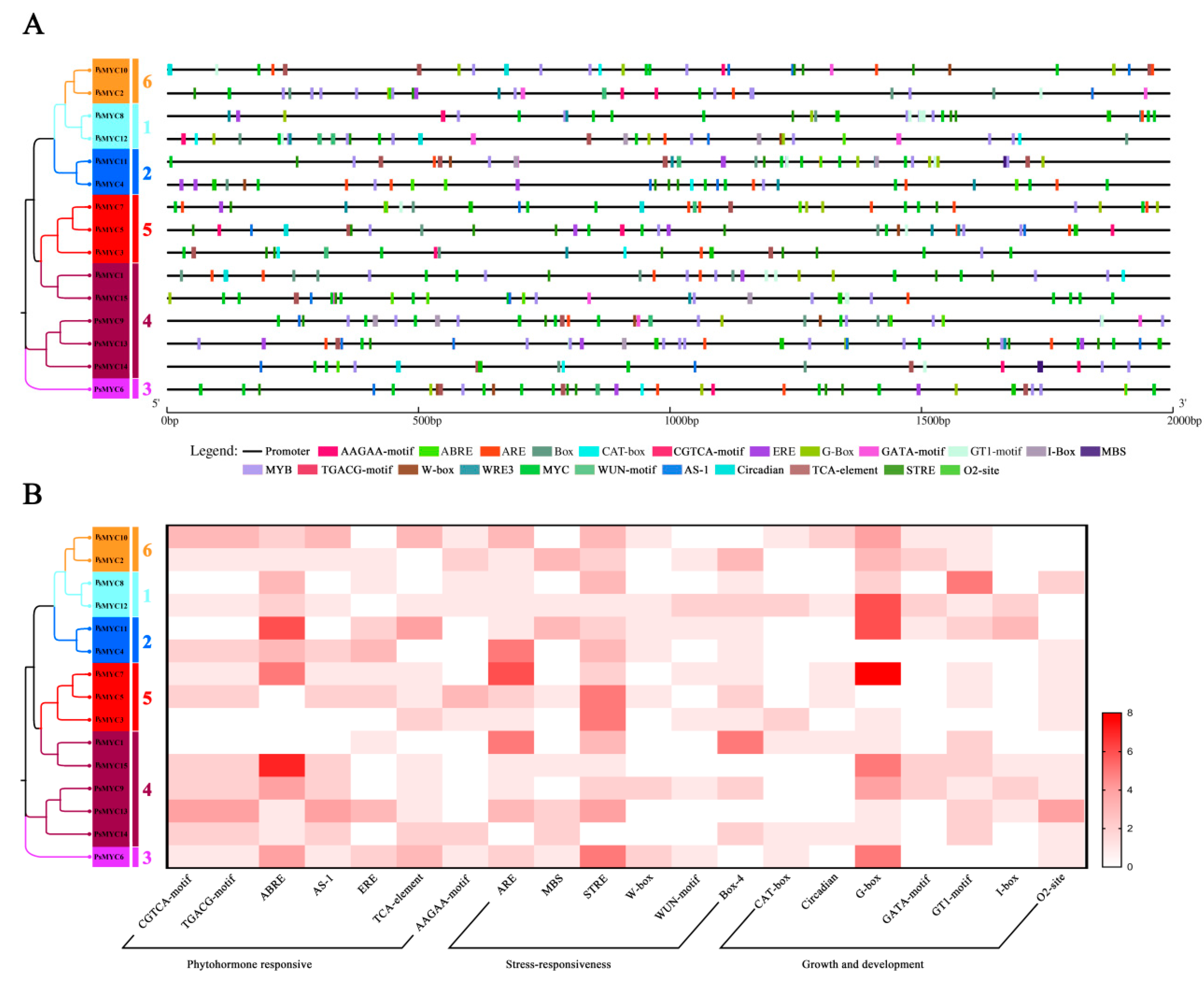 Plants 13 00437 g003
