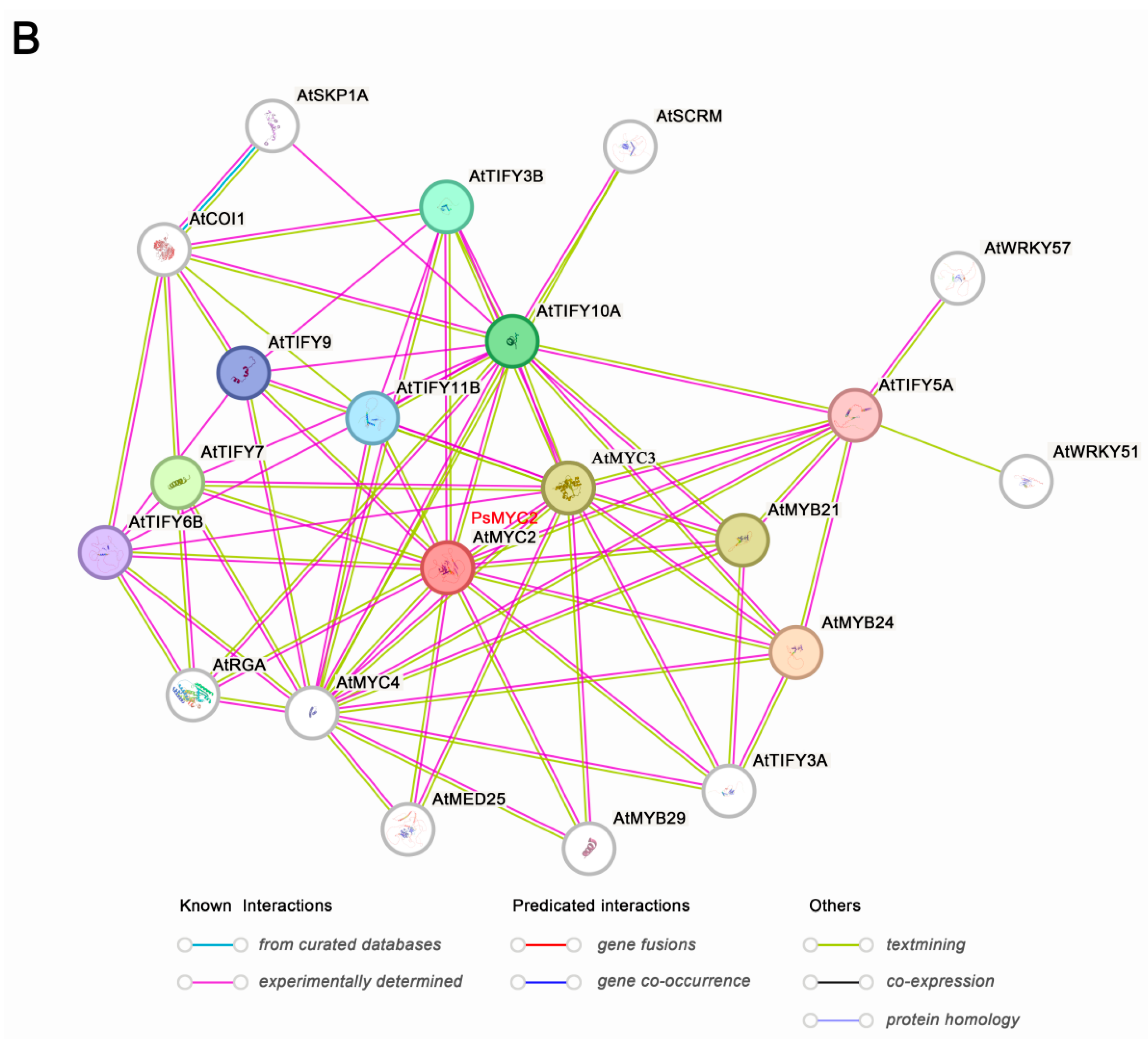 Plants 13 00437 g008b