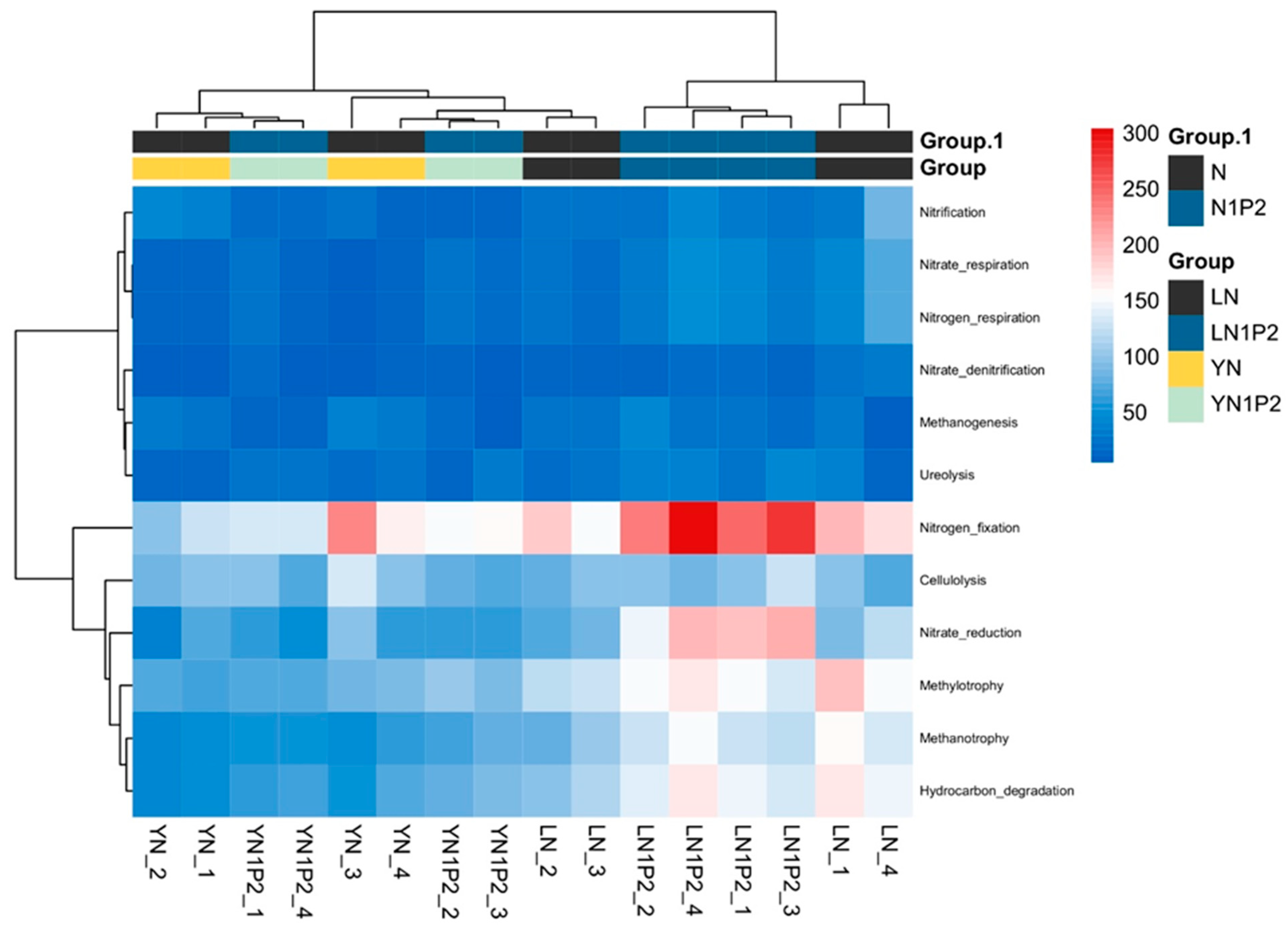 Plants 13 00438 g007