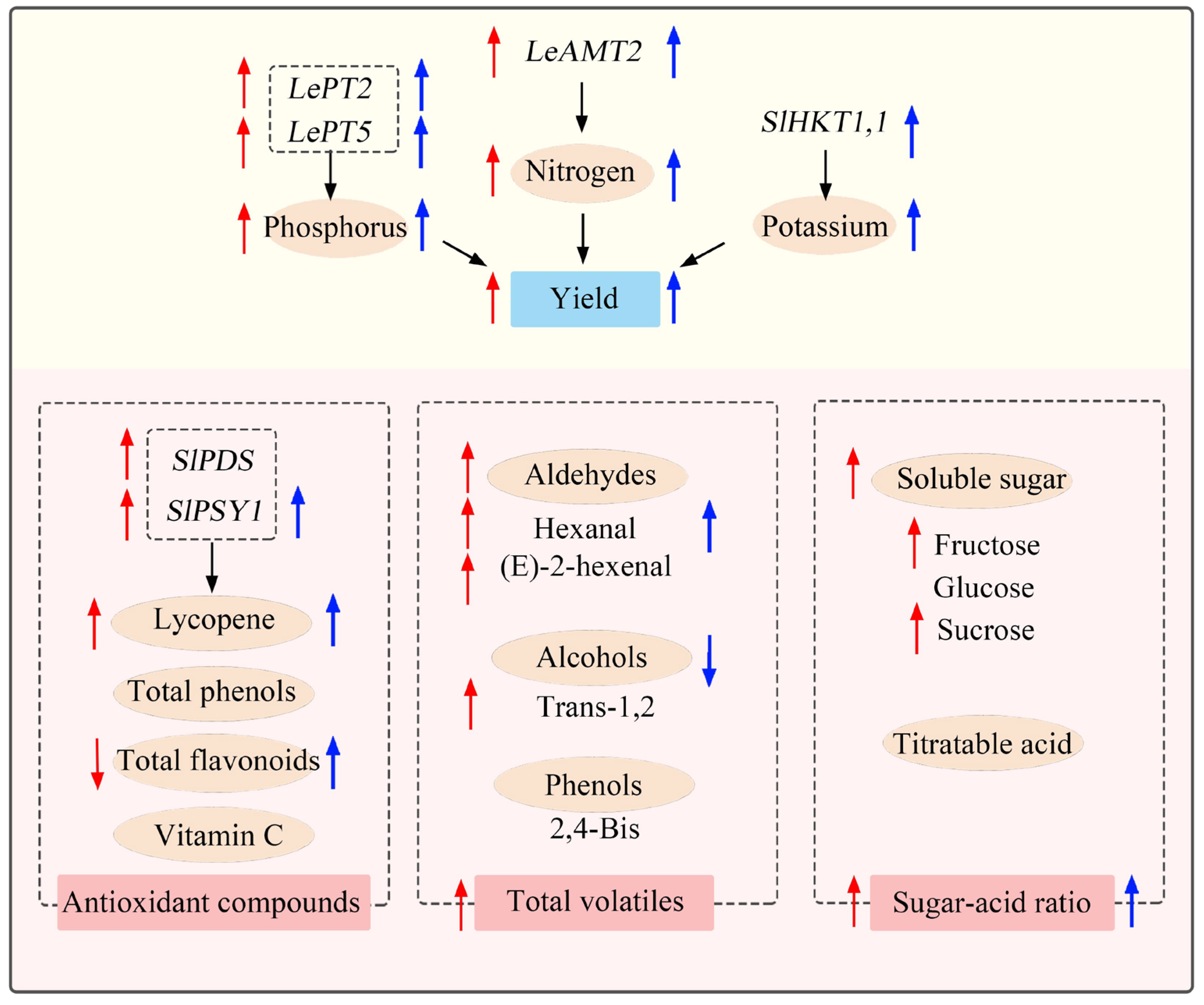 Plants 13 00443 g008