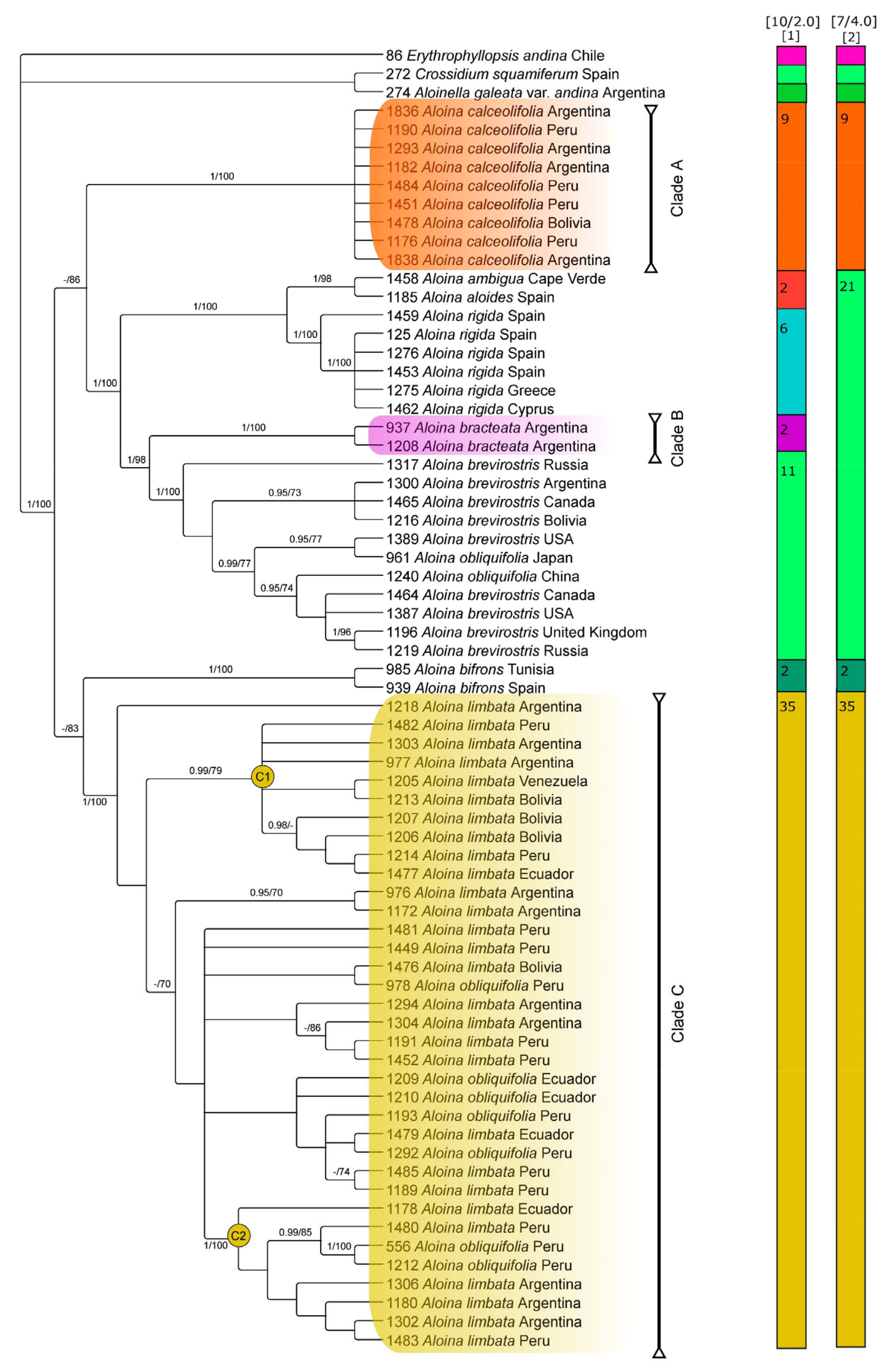 Plants 13 00445 g003