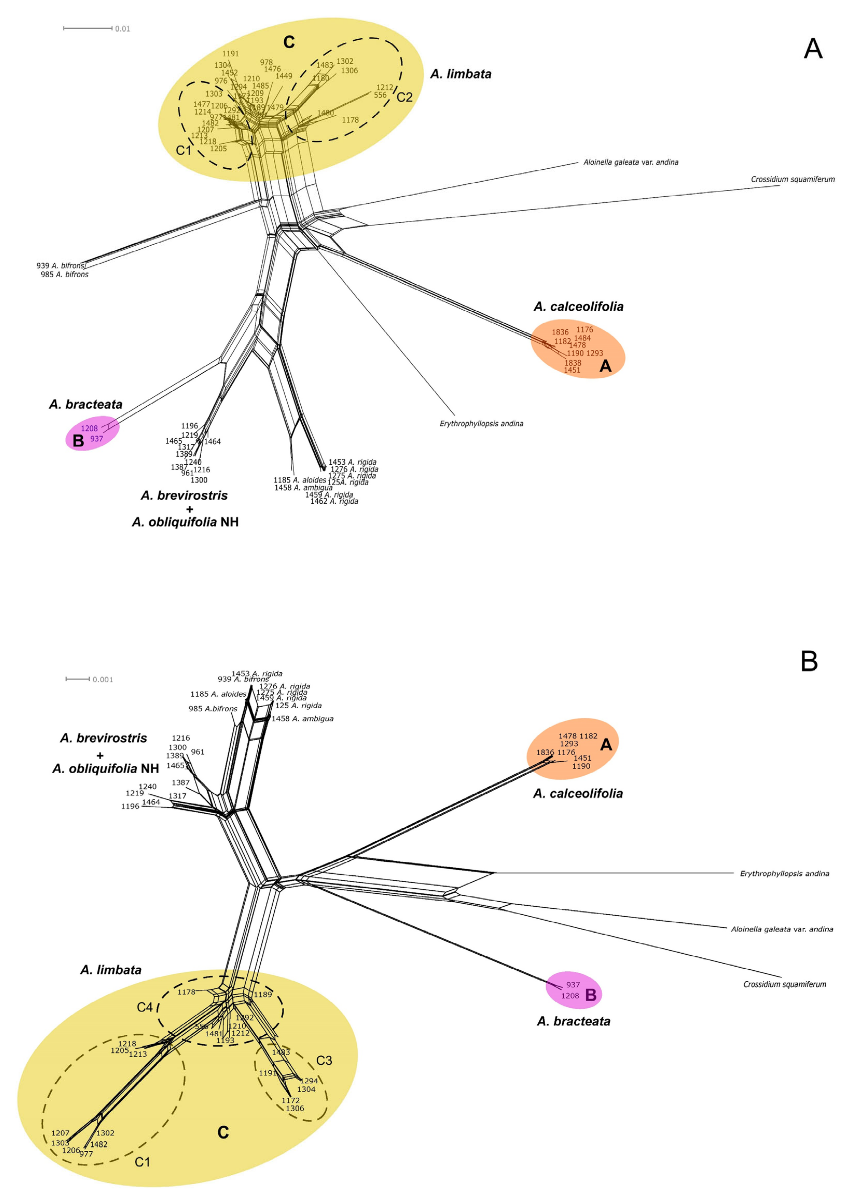 Plants 13 00445 g005