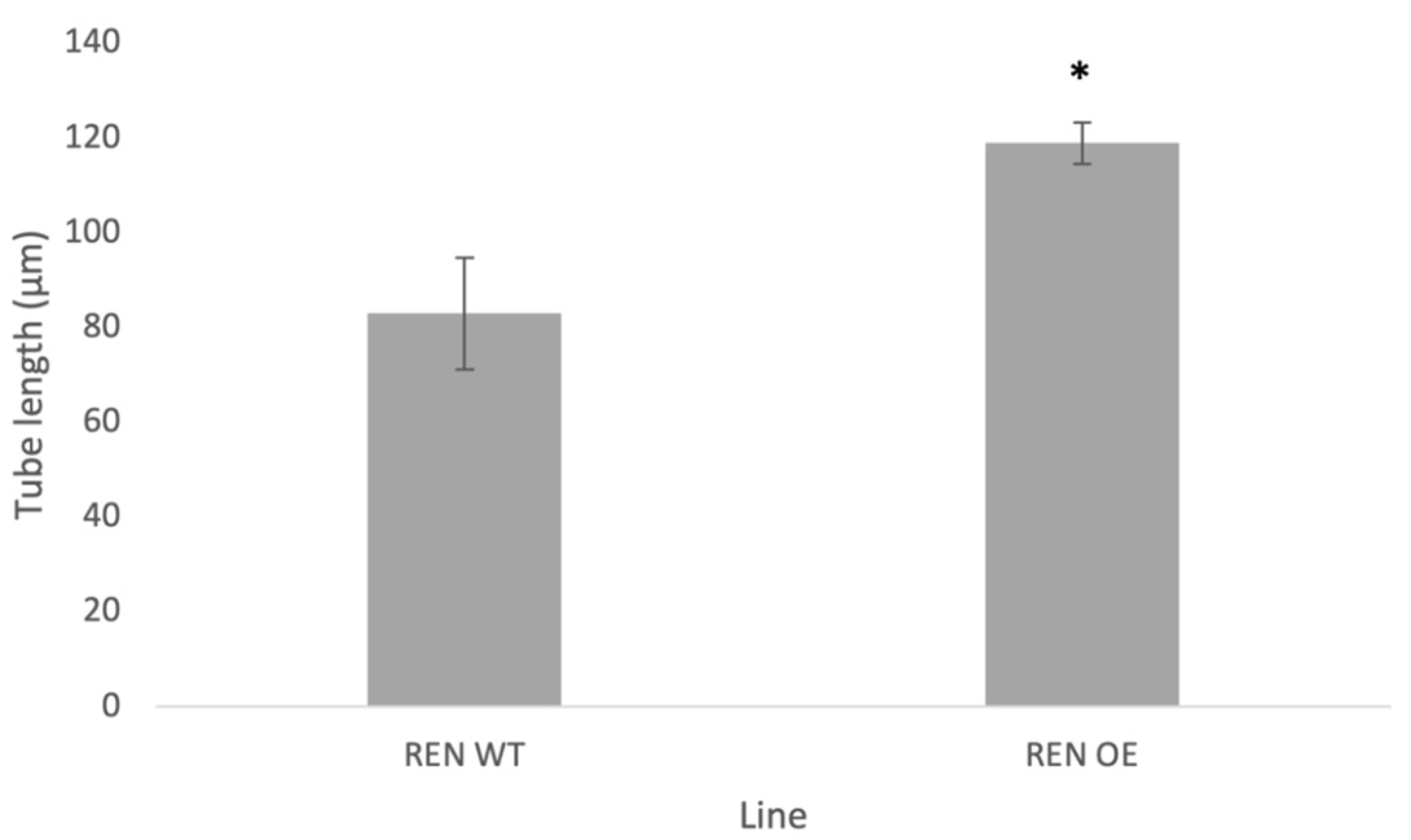 Plants 13 00451 g007