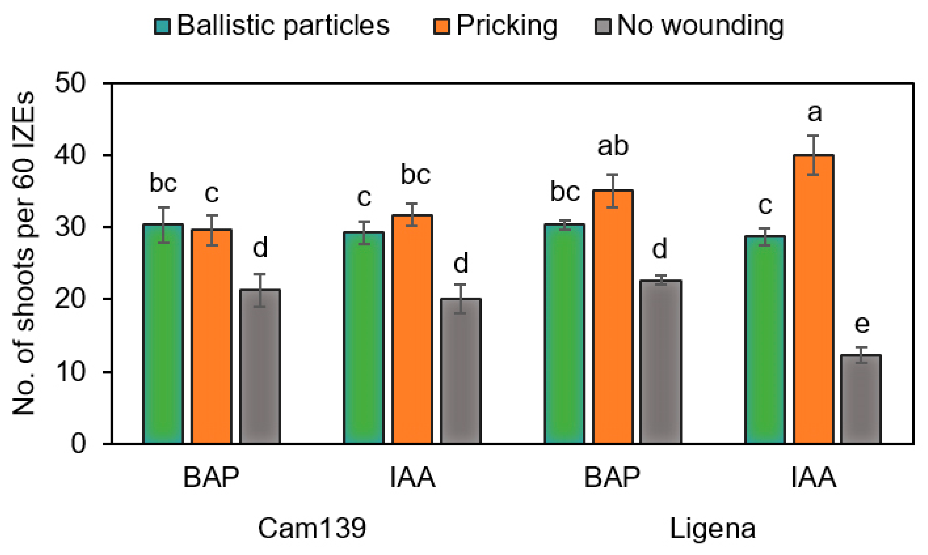 Plants 13 00465 g007