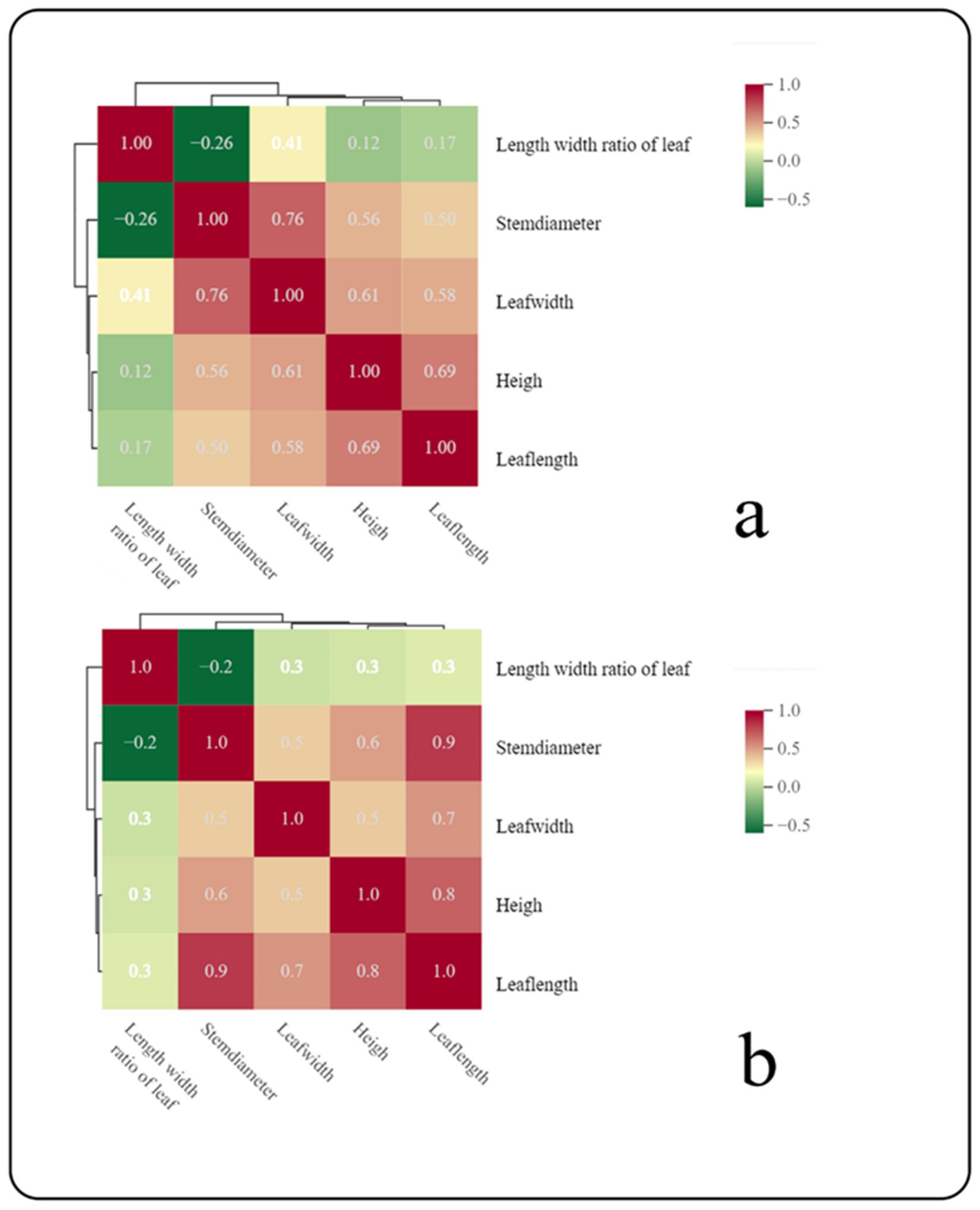 Morphological Variation and Spatial Metabolic Variations in