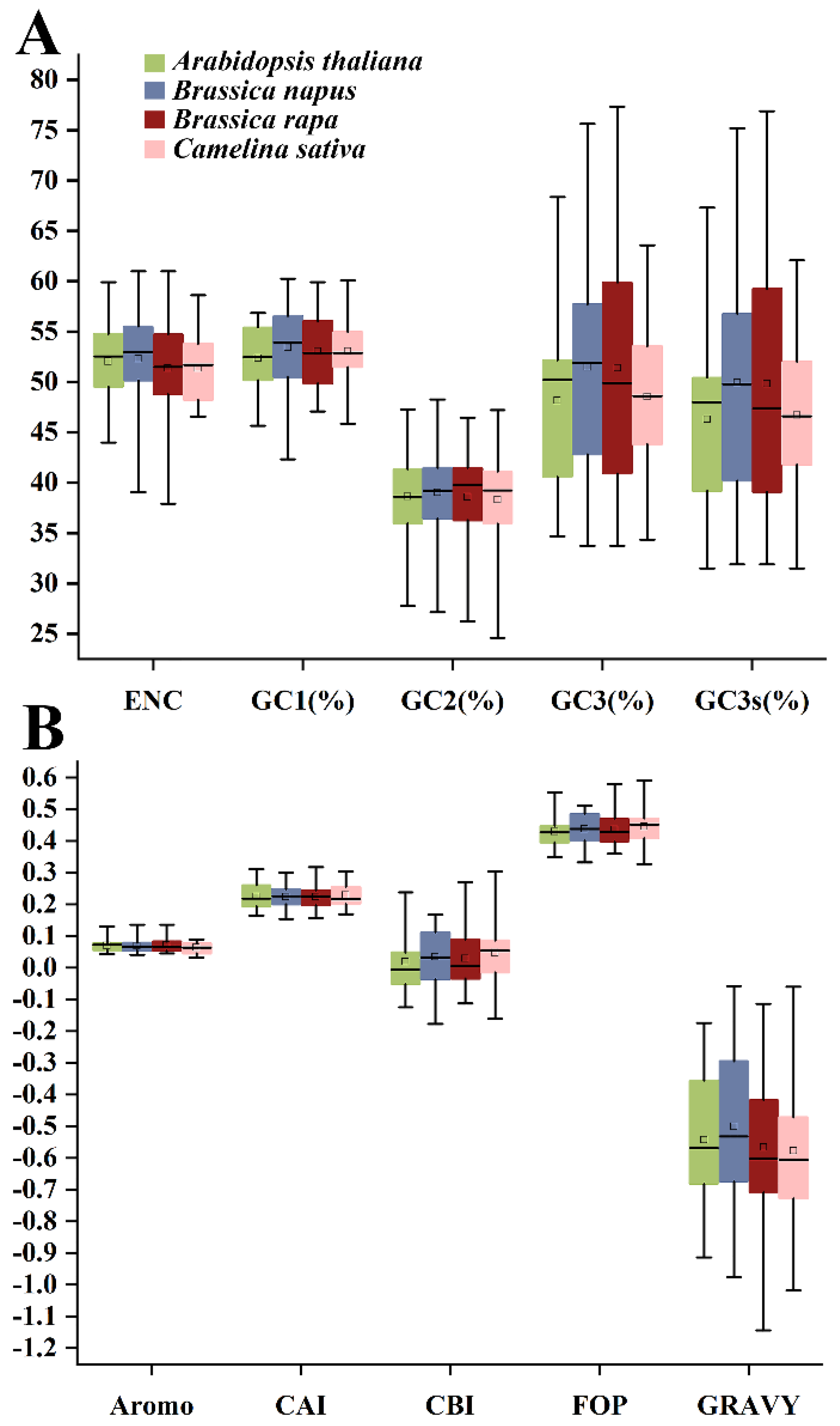 Plants 13 00468 g001