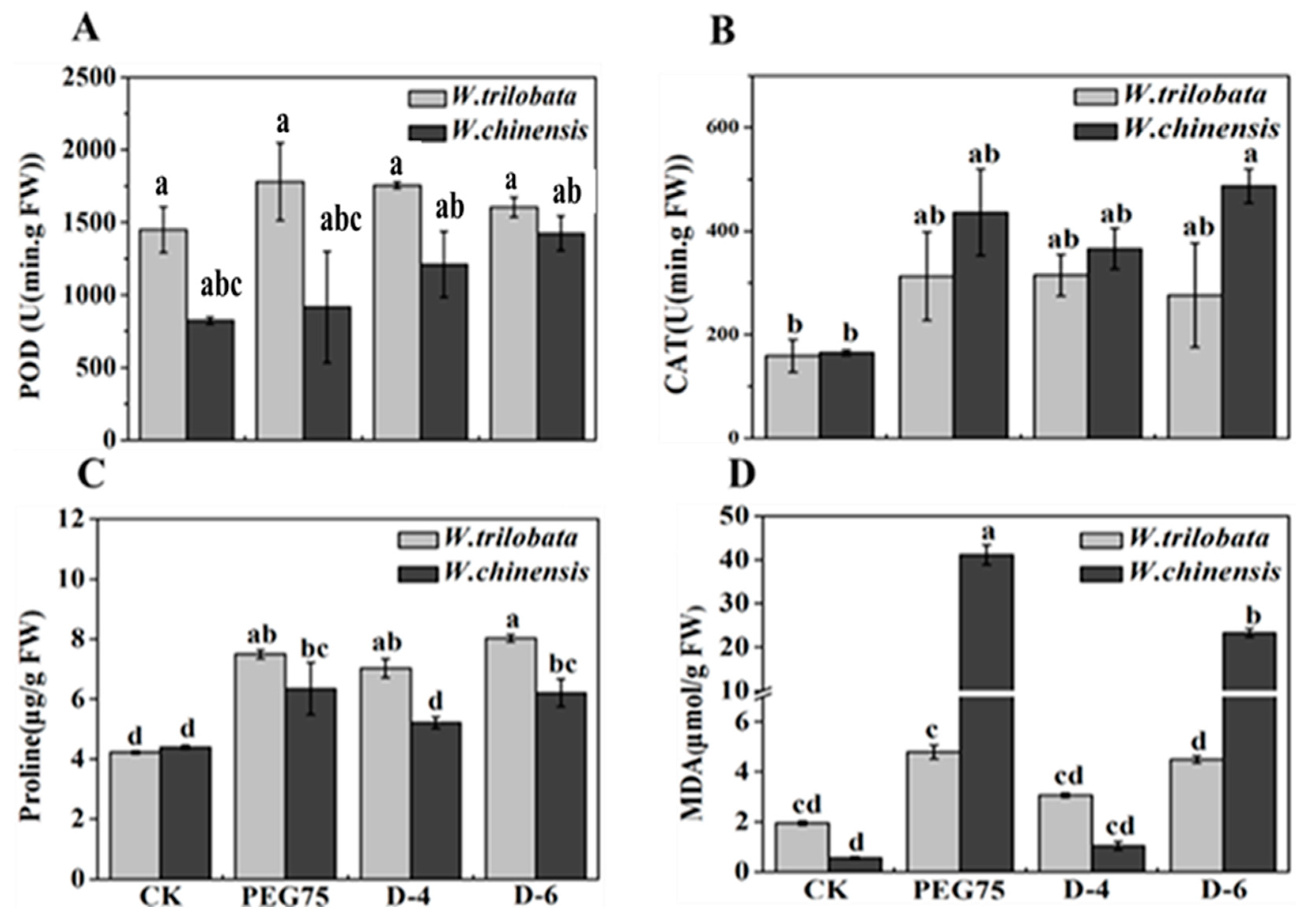 Plants 13 00472 g004