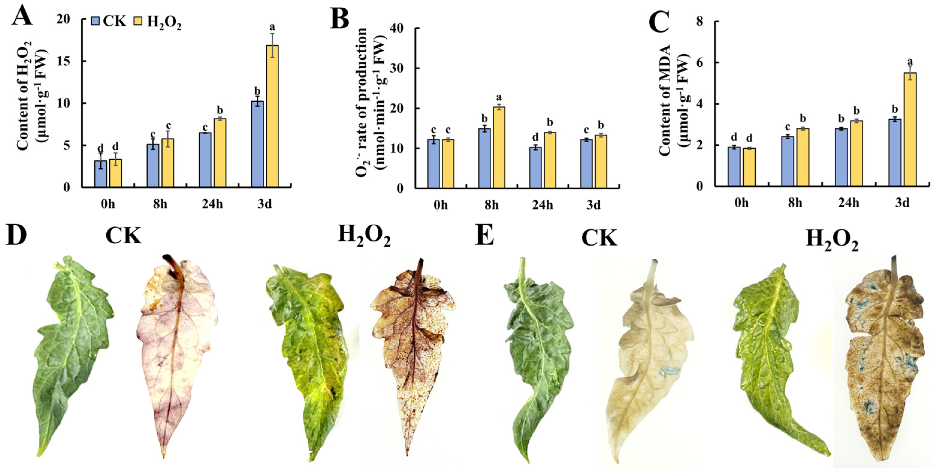 Plants 13 00475 g002 Plants 13 00475 g002