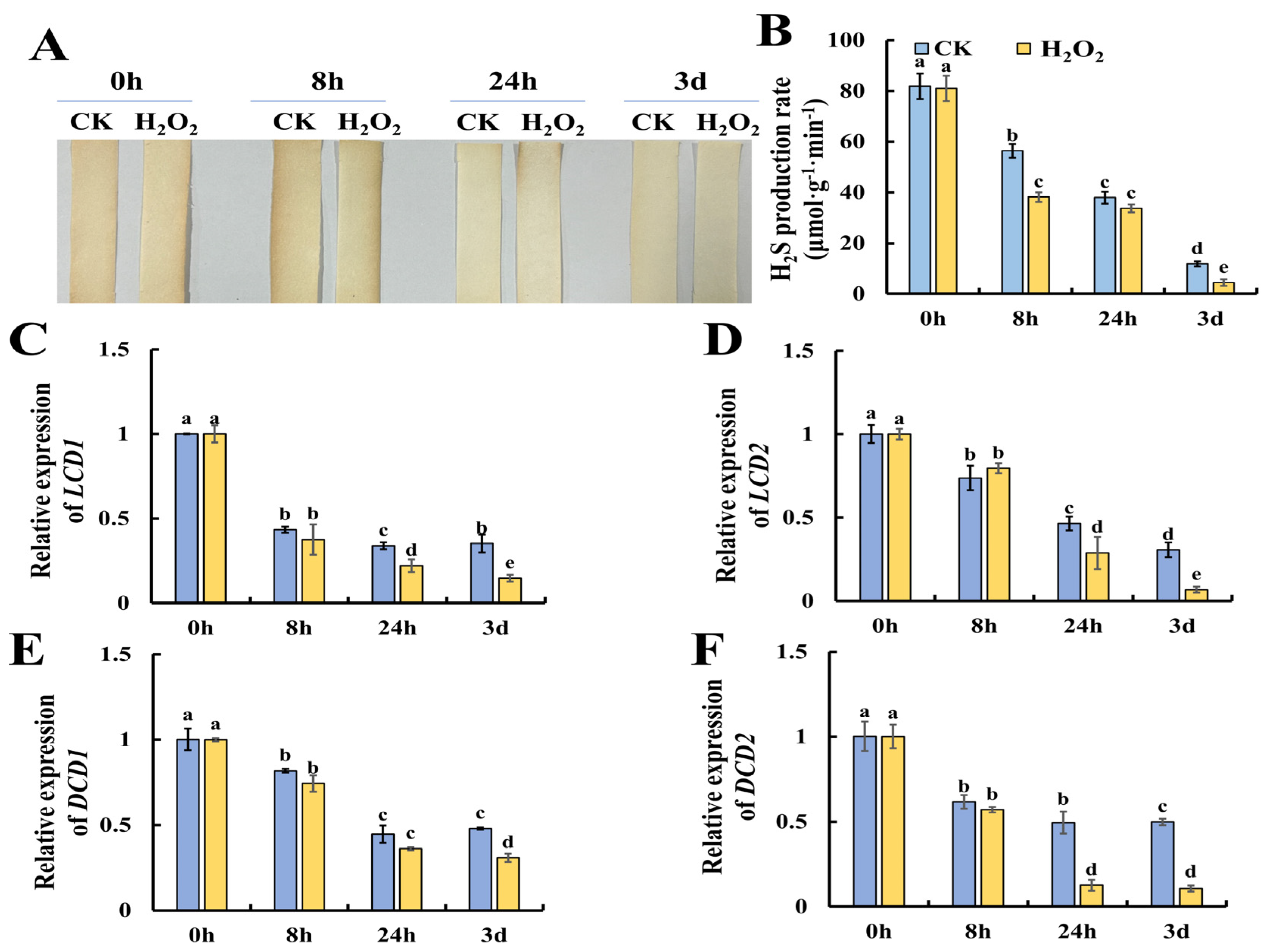 Plants 13 00475 g004 Plants 13 00475 g004
