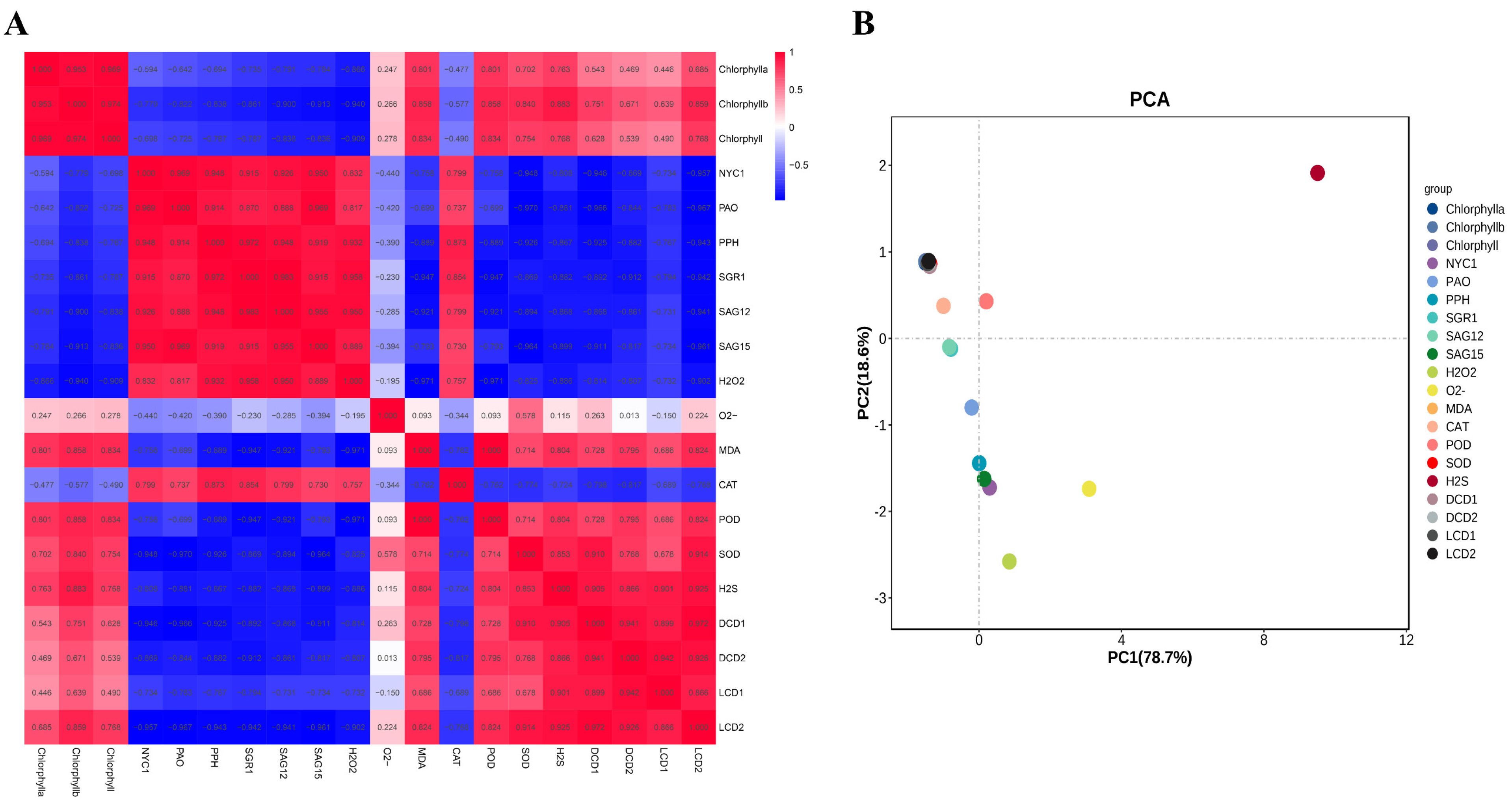 Plants 13 00475 g005 Plants 13 00475 g005