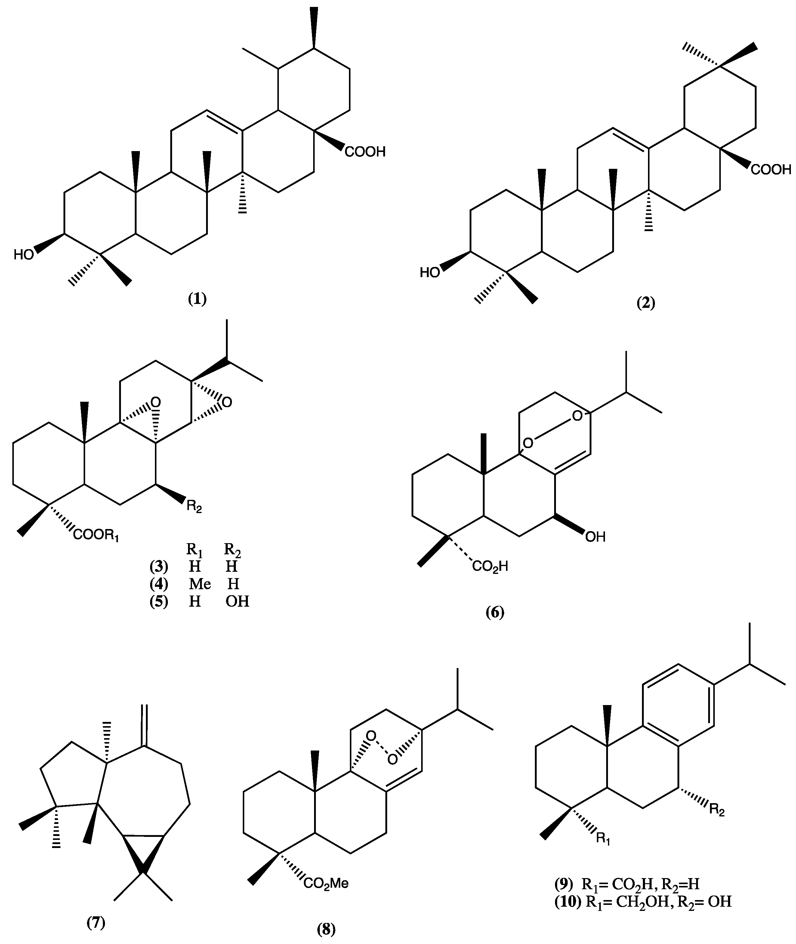 Plants 13 00481 g002