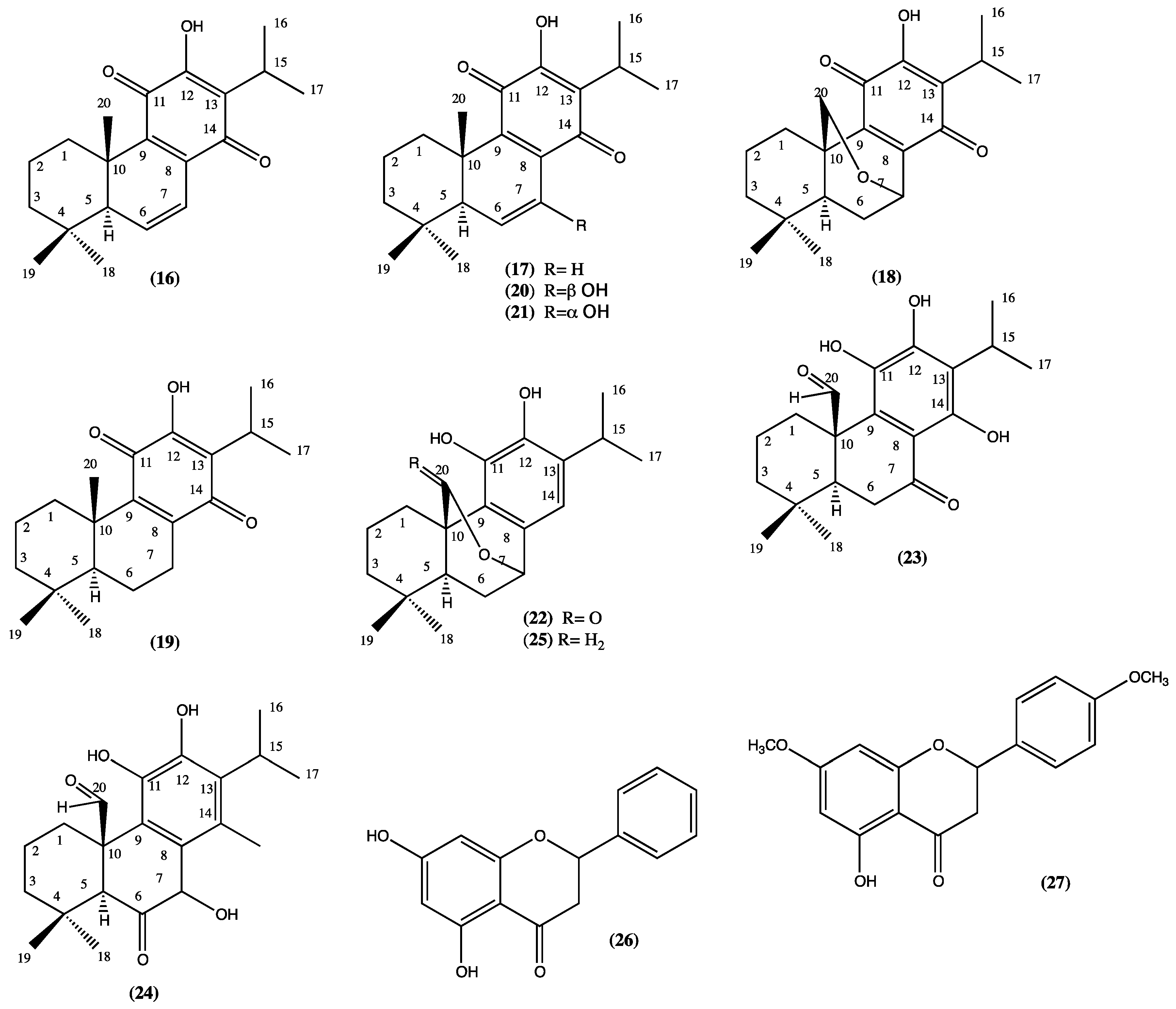 Plants 13 00481 g004
