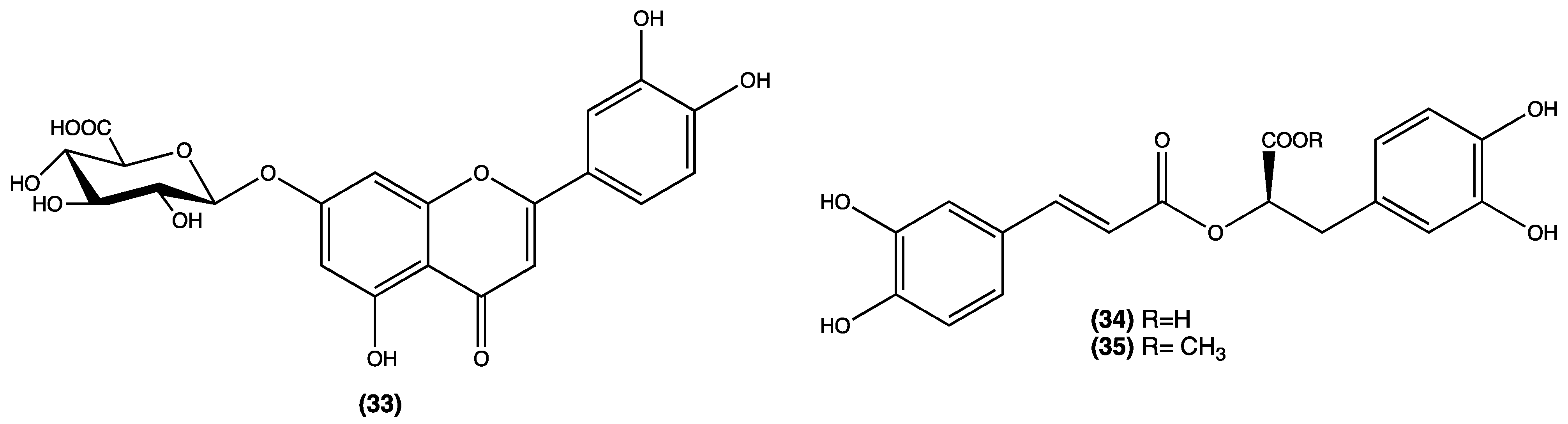Plants 13 00481 g006