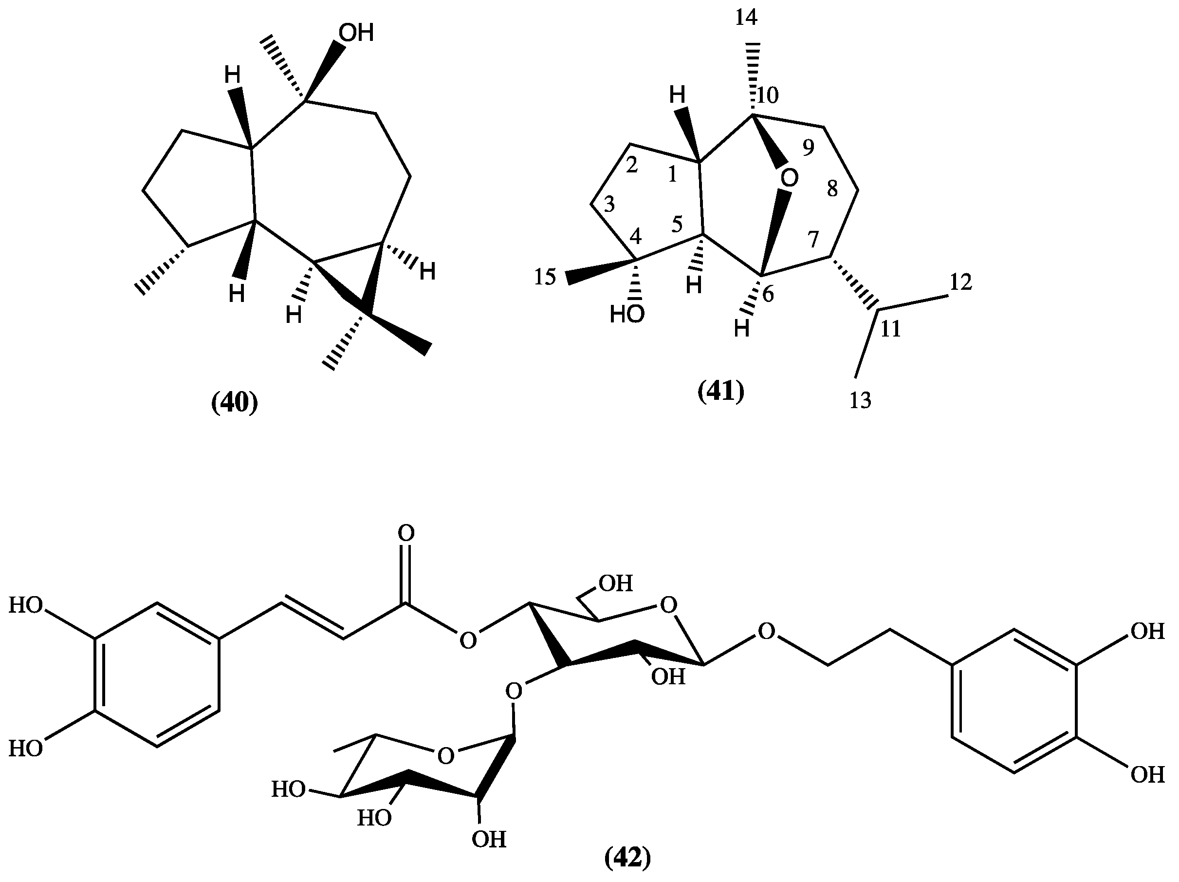 Plants 13 00481 g008
