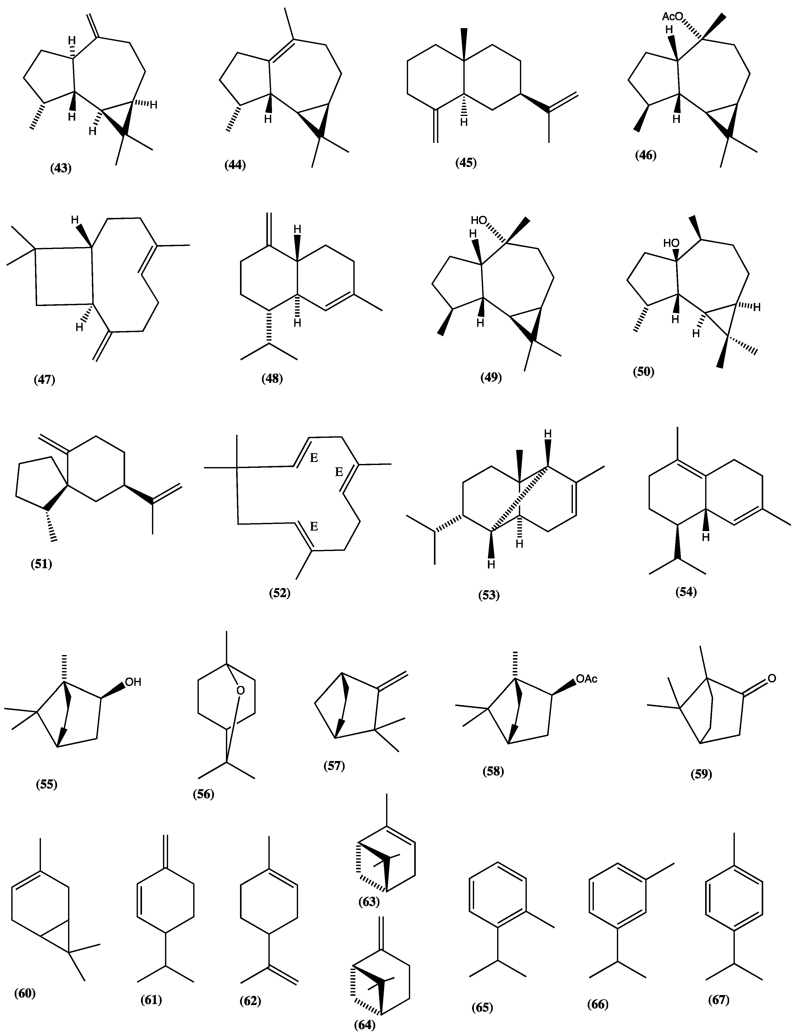 Plants 13 00481 g009