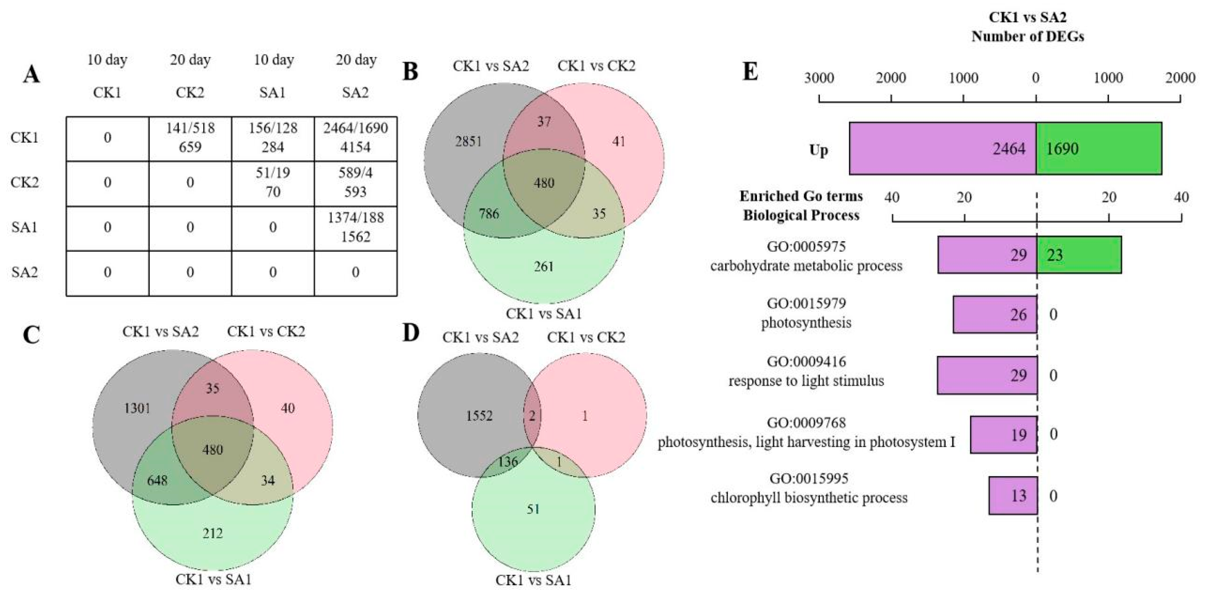 Plants 13 00486 g003 Plants 13 00486 g003