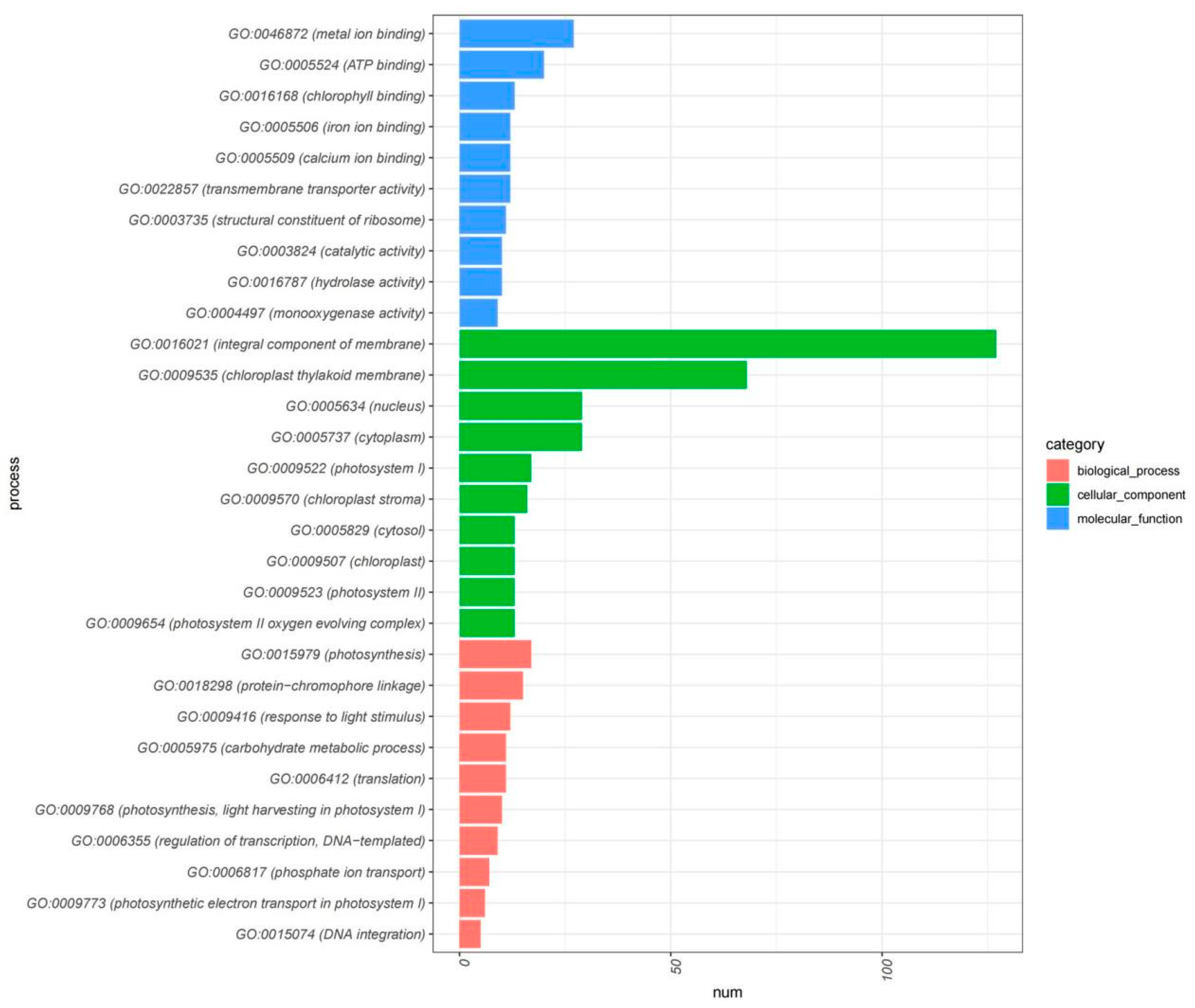 Plants 13 00486 g005 Plants 13 00486 g005