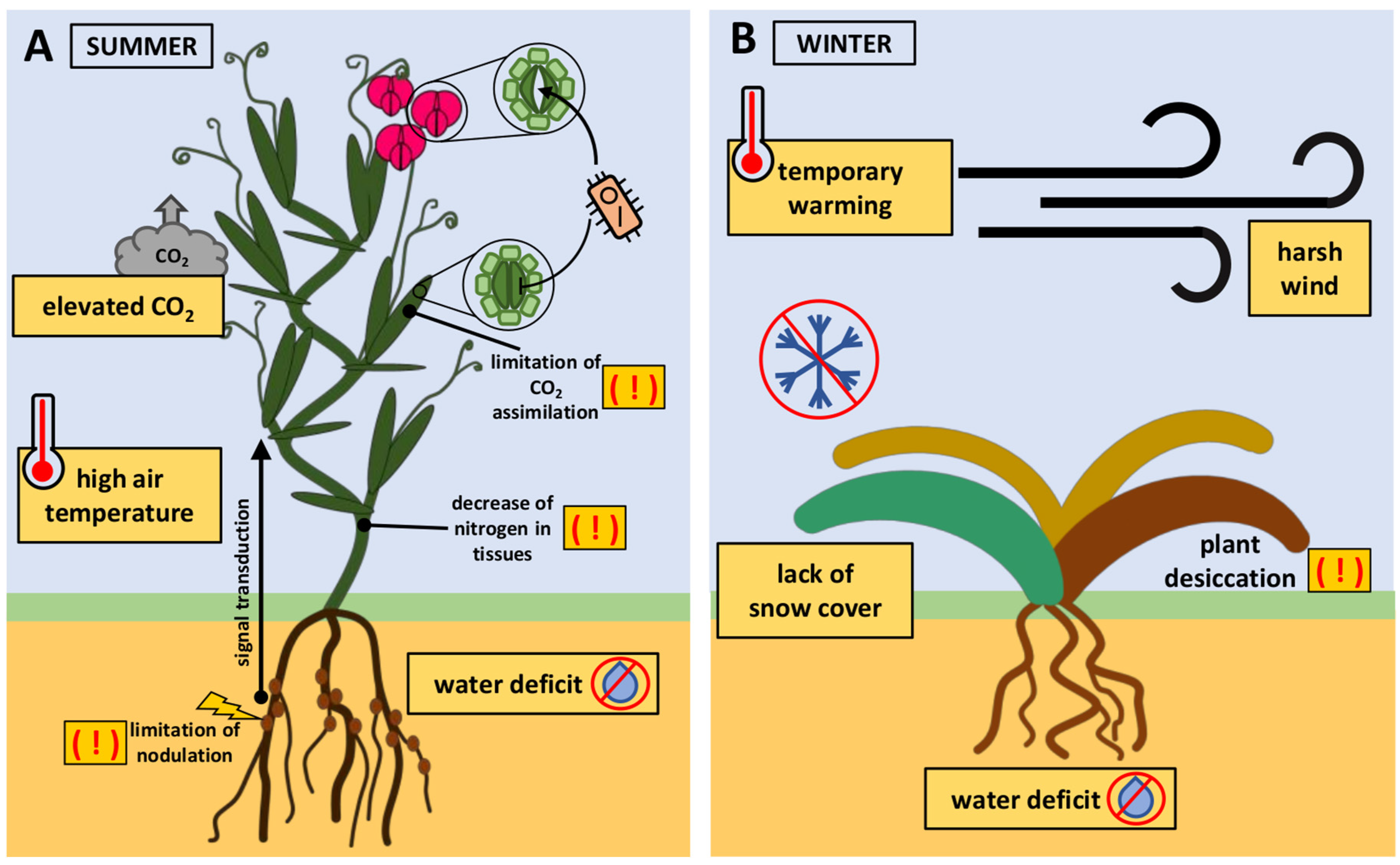 Plants 13 00490 g002