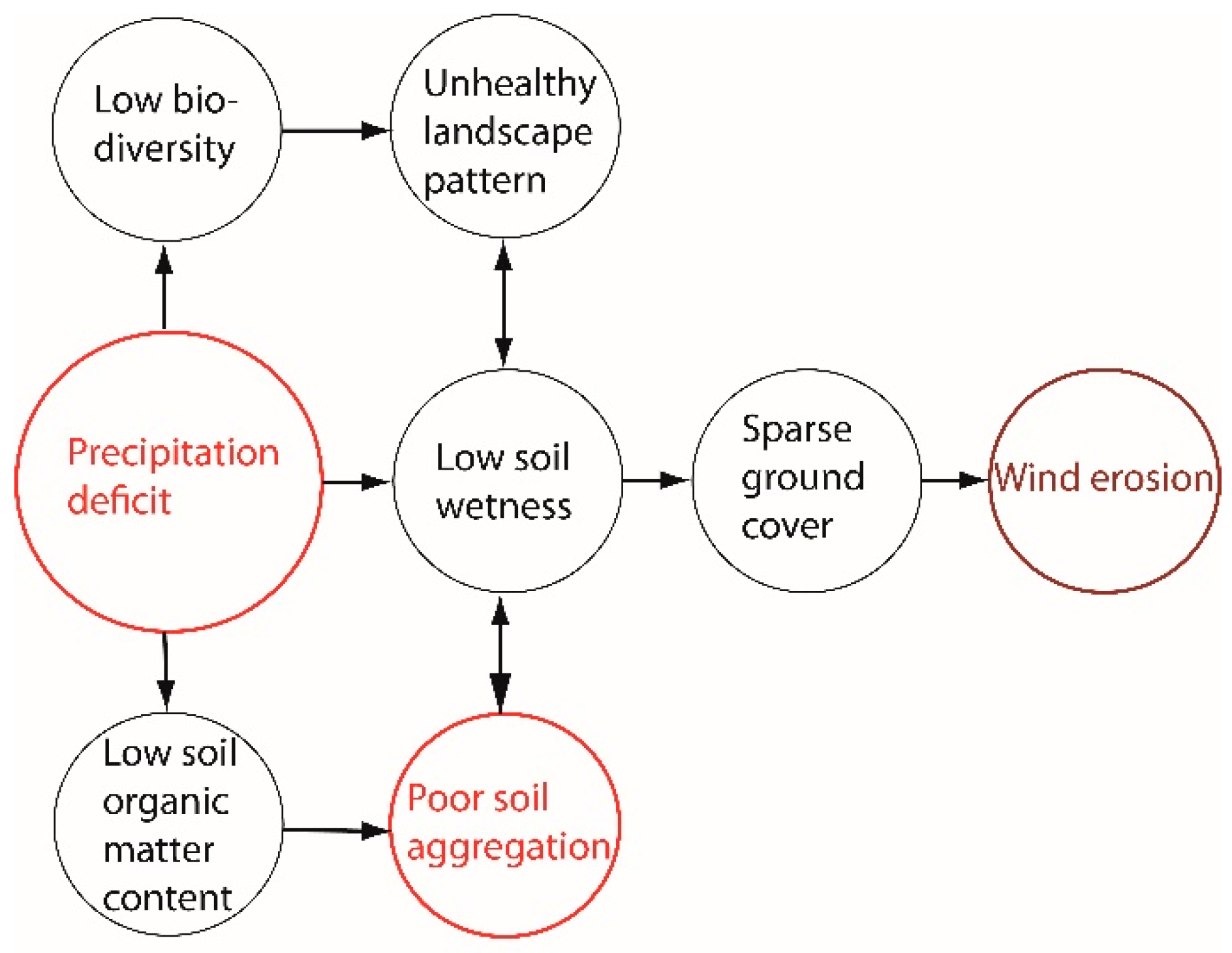 Plants 13 00494 g001 Plants 13 00494 g001