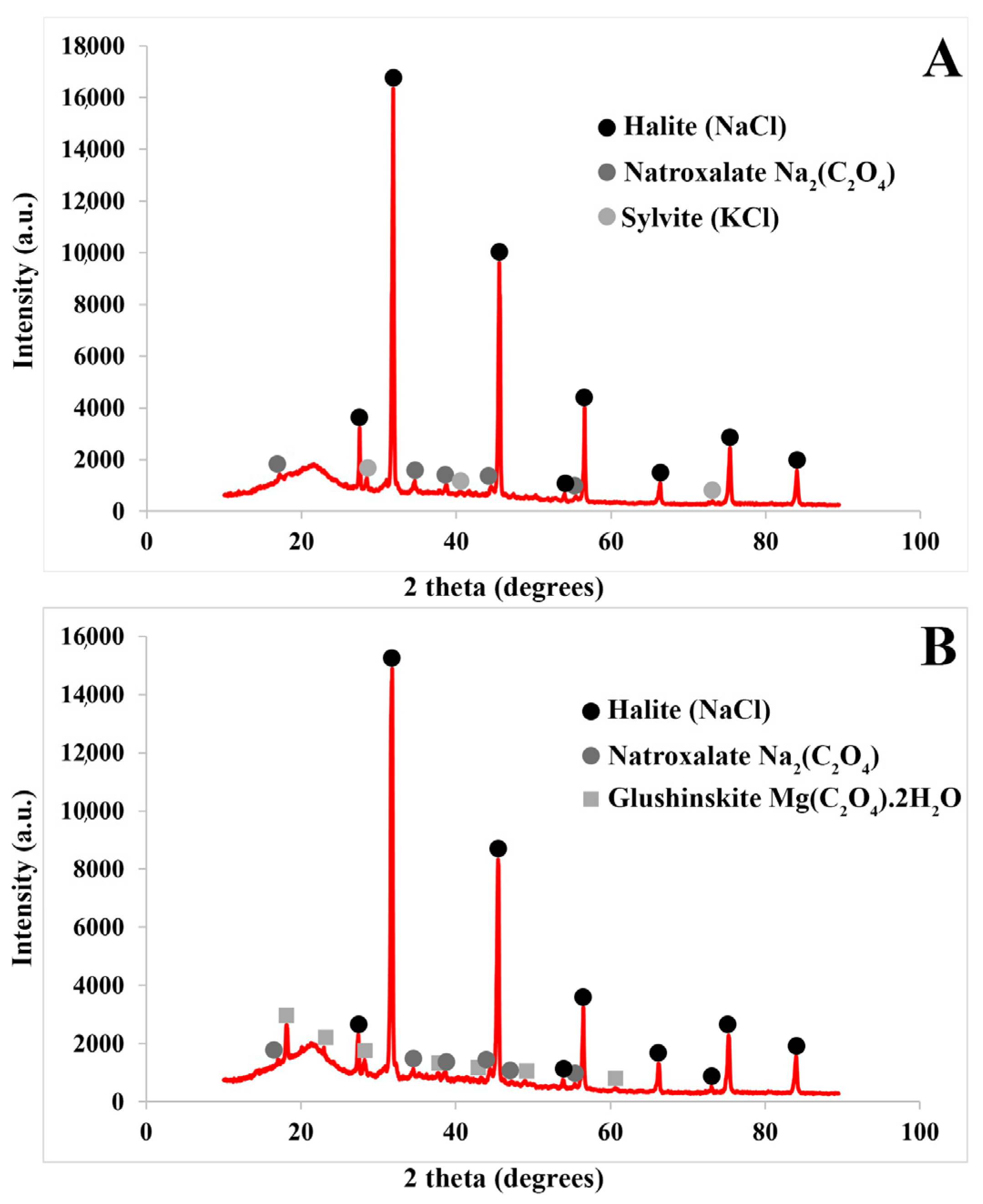 Plants 13 00496 g010