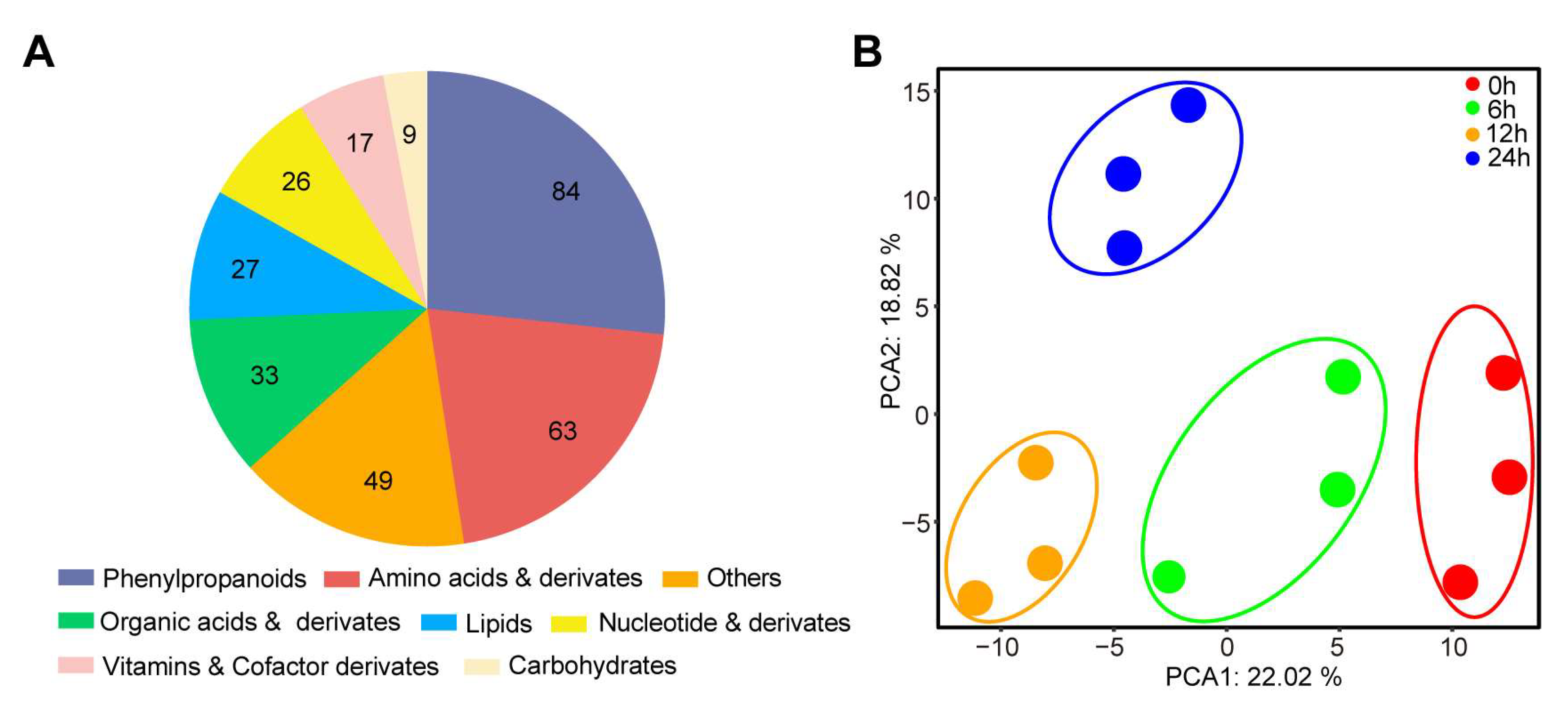 Plants 13 00498 g001