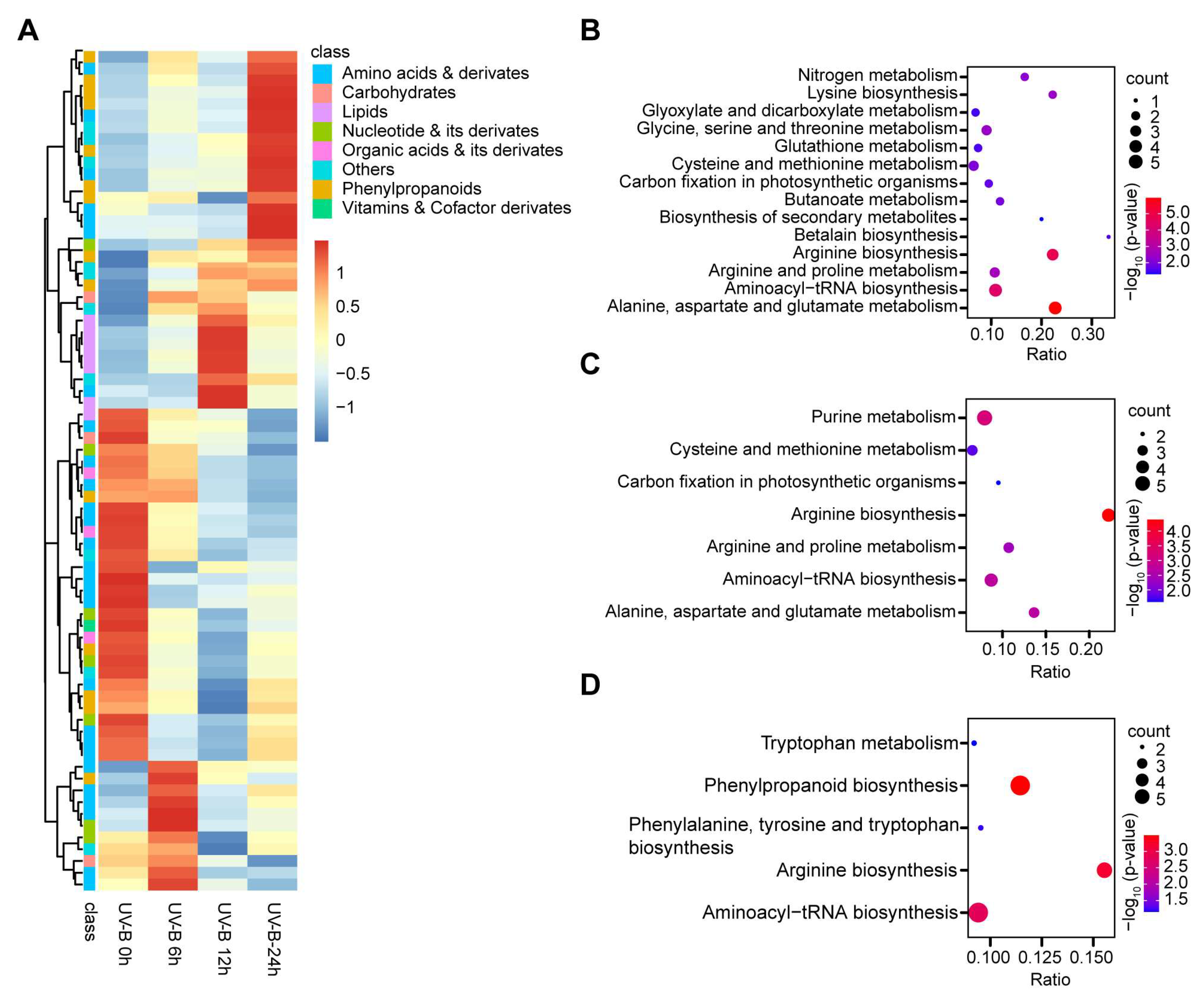 Plants 13 00498 g003