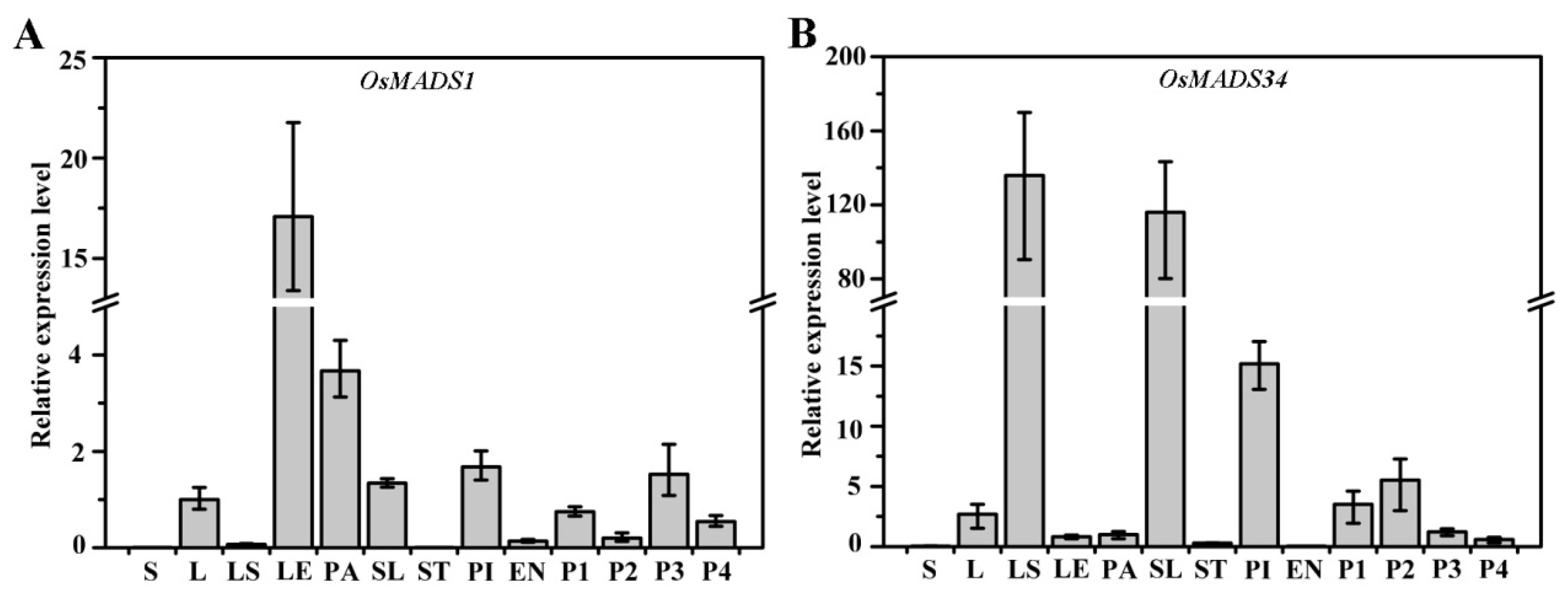 Plants 13 00505 g006