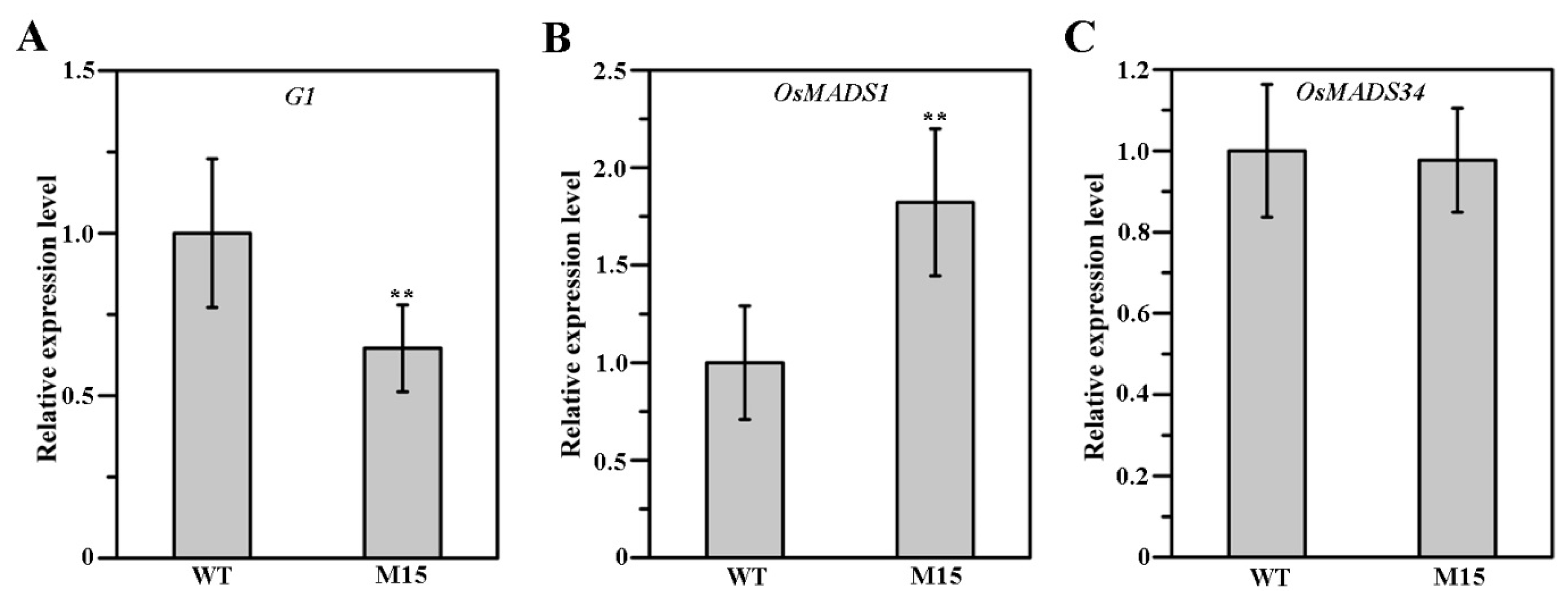 Plants 13 00505 g007