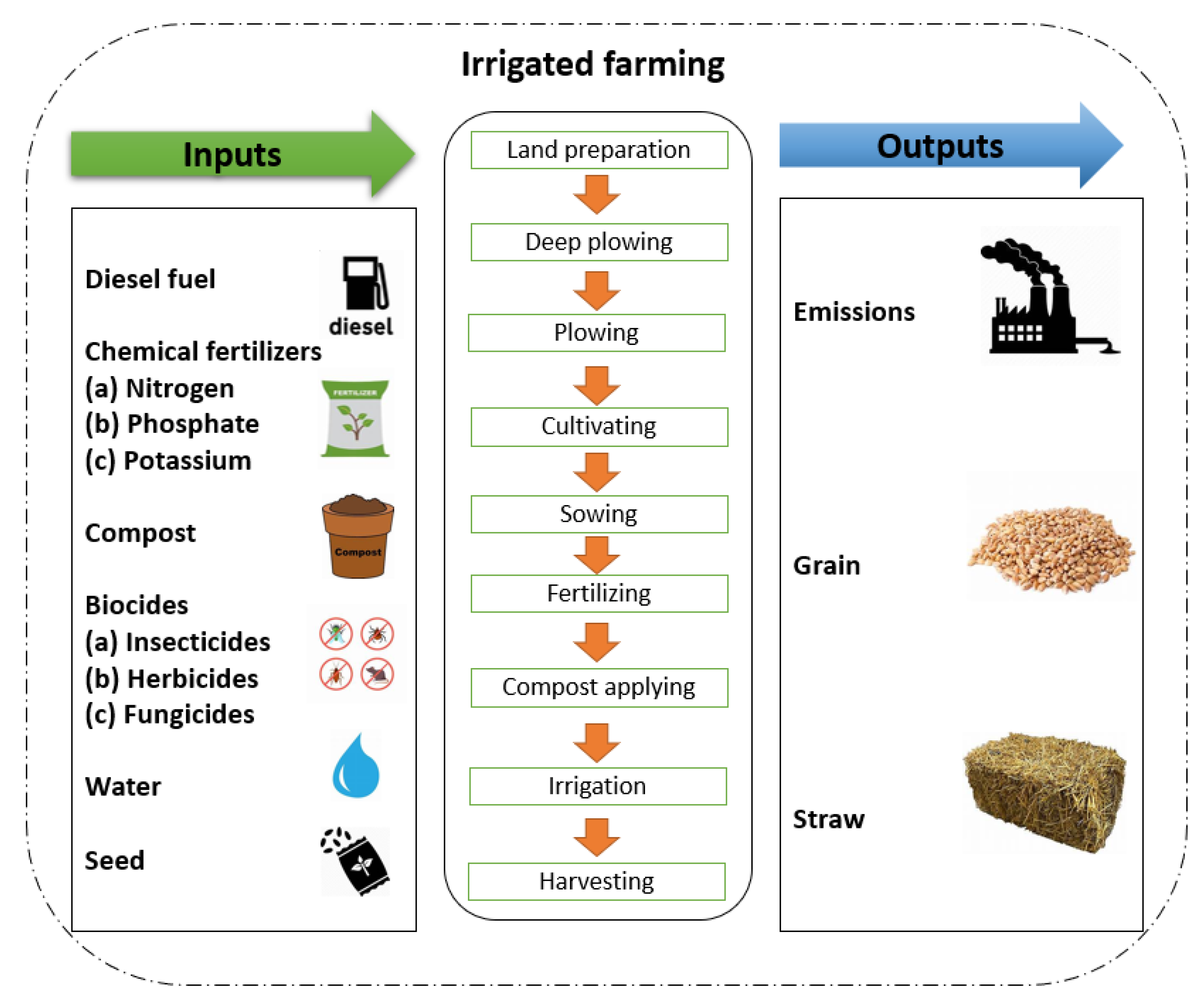 Plants 13 00509 g010b