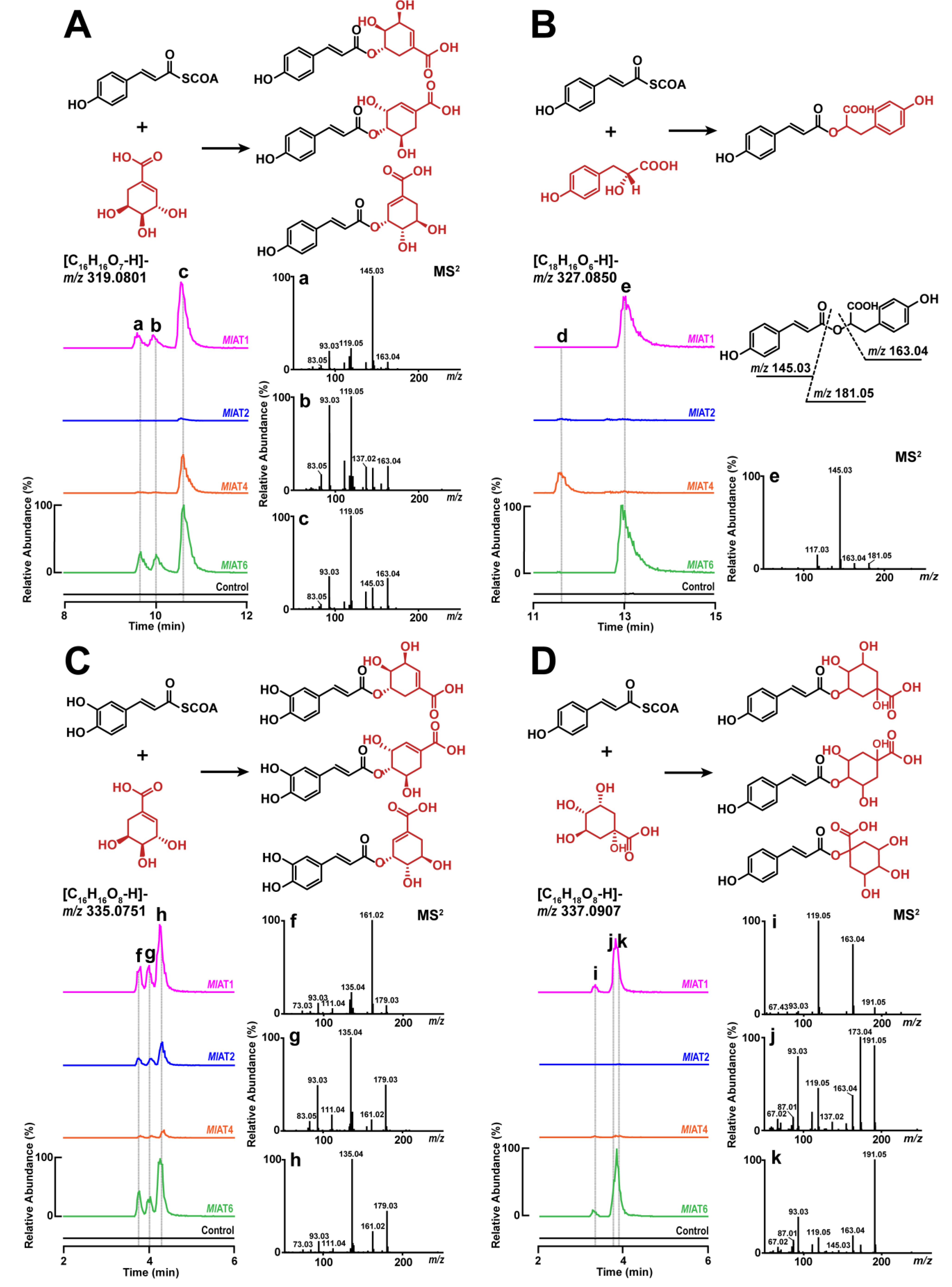 Plants 13 00512 g002