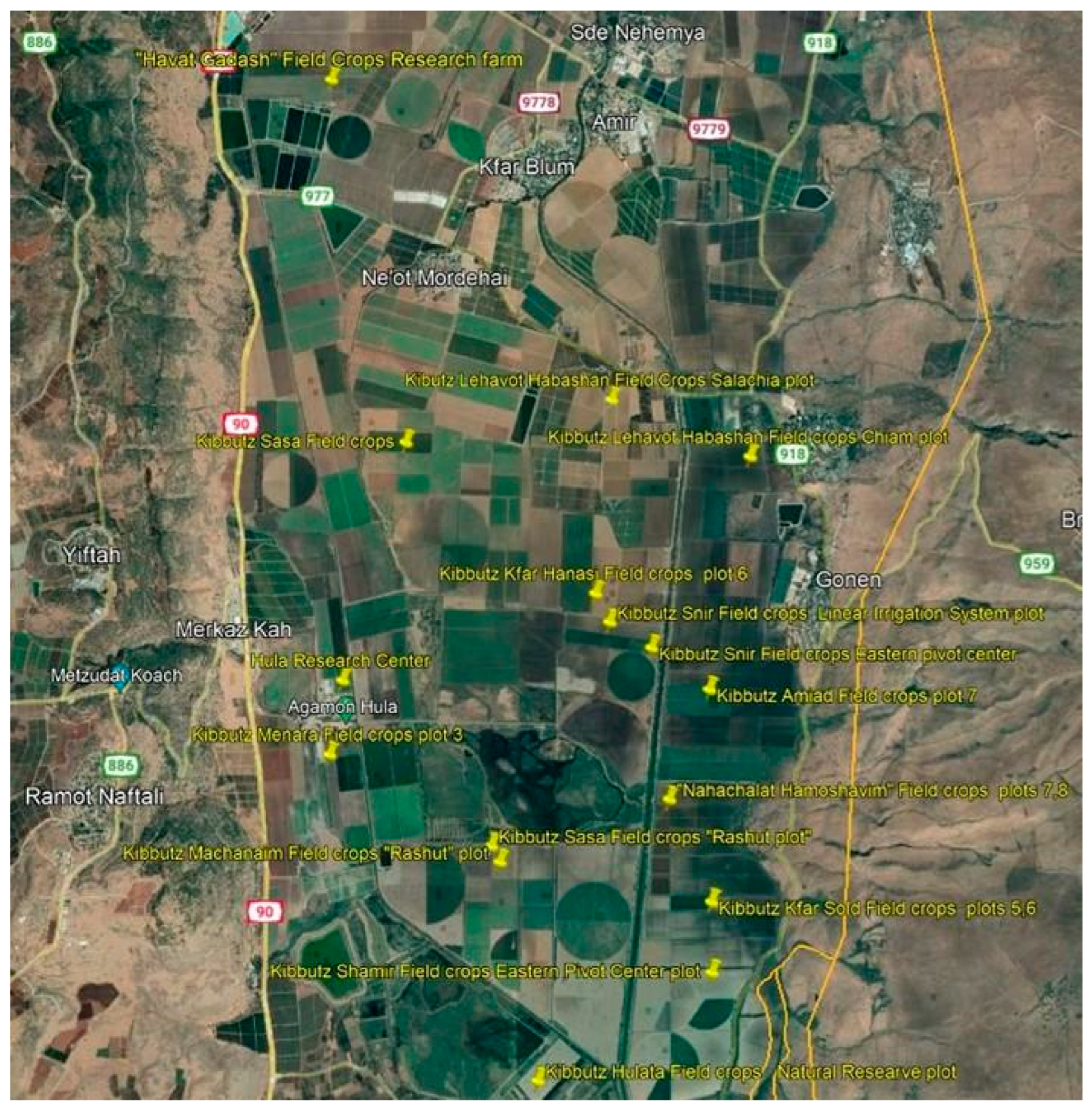 Plants 13 00518 g005 Plants 13 00518 g005