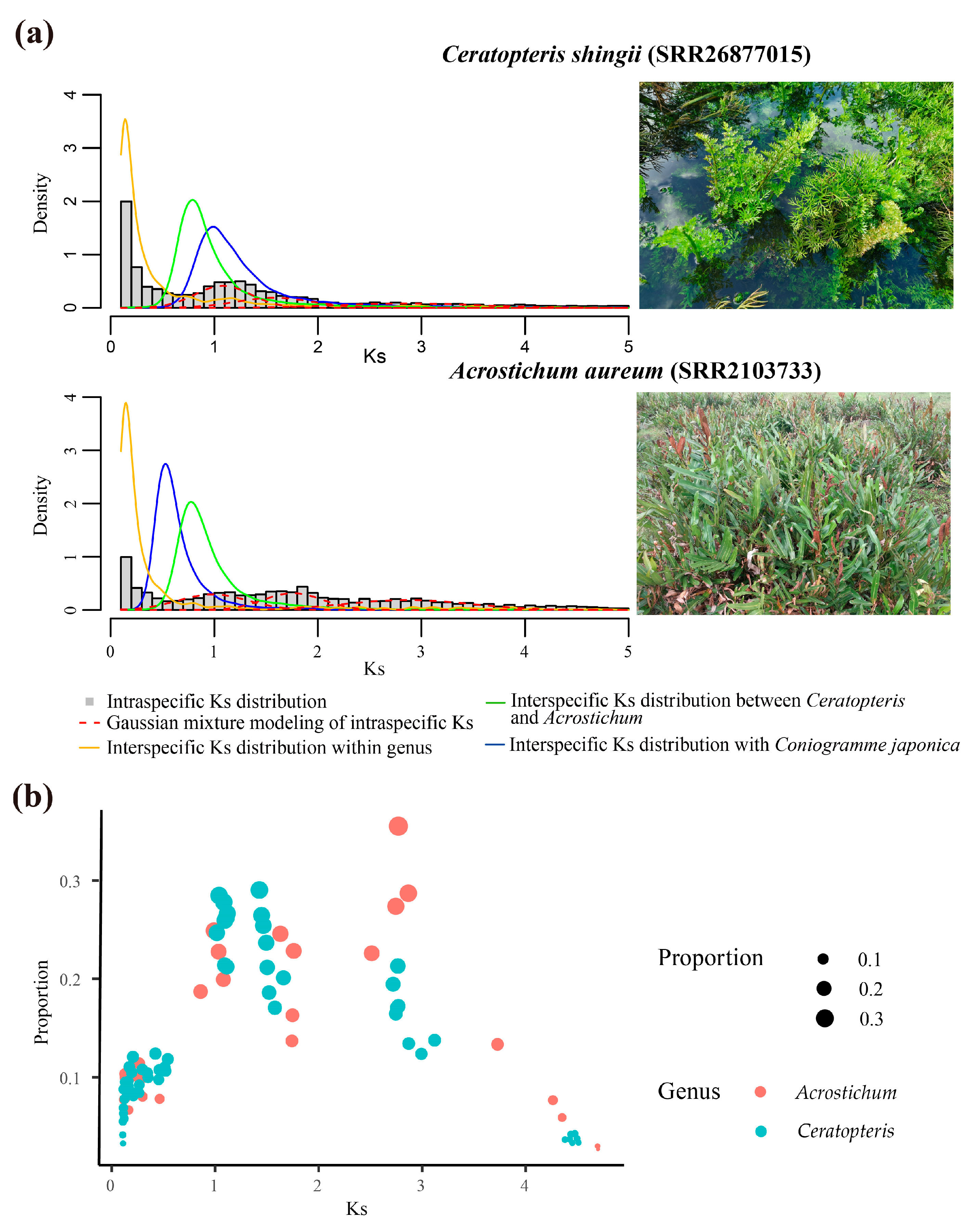 Plants 13 00521 g001