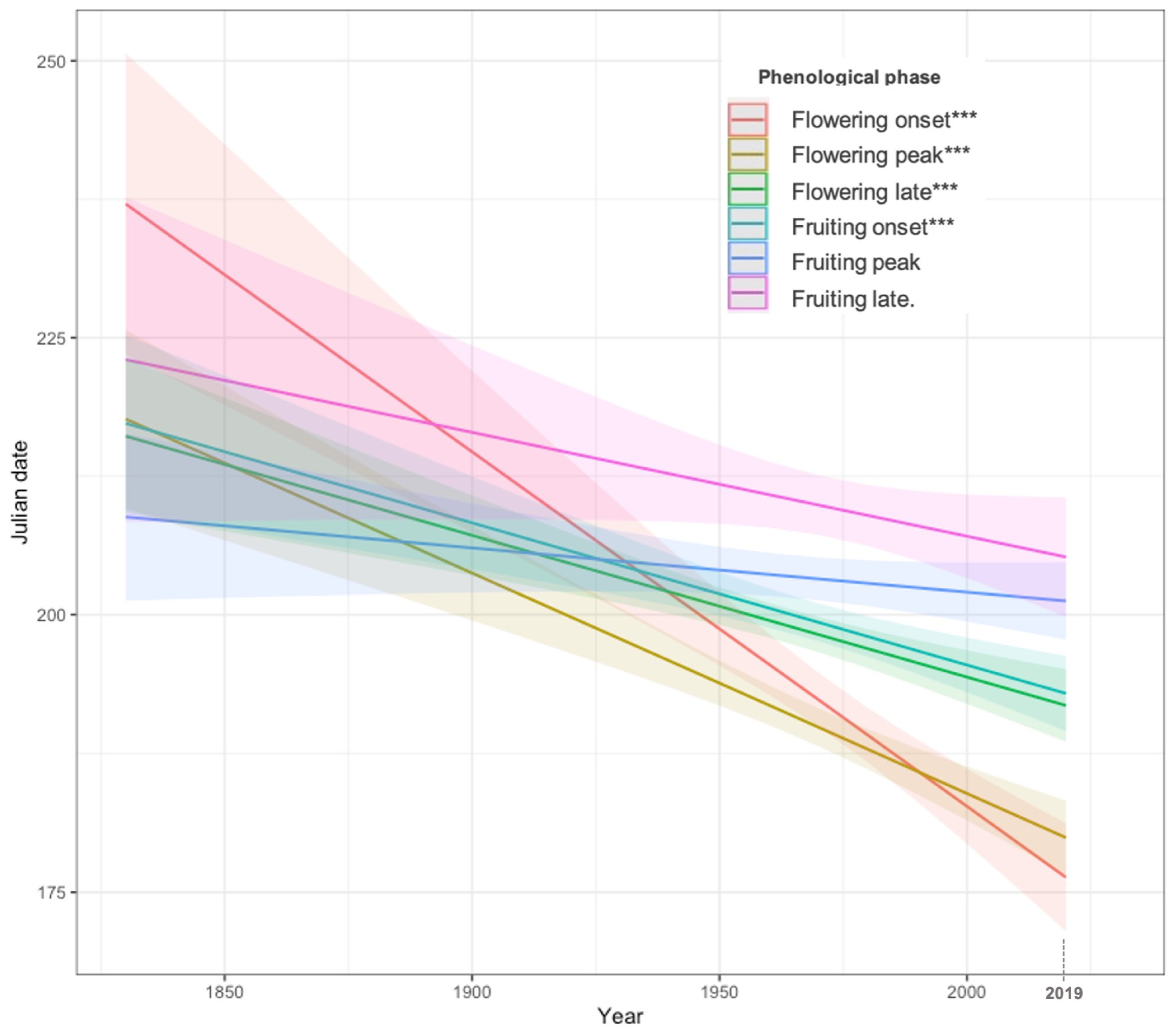 Plants 13 00522 g001