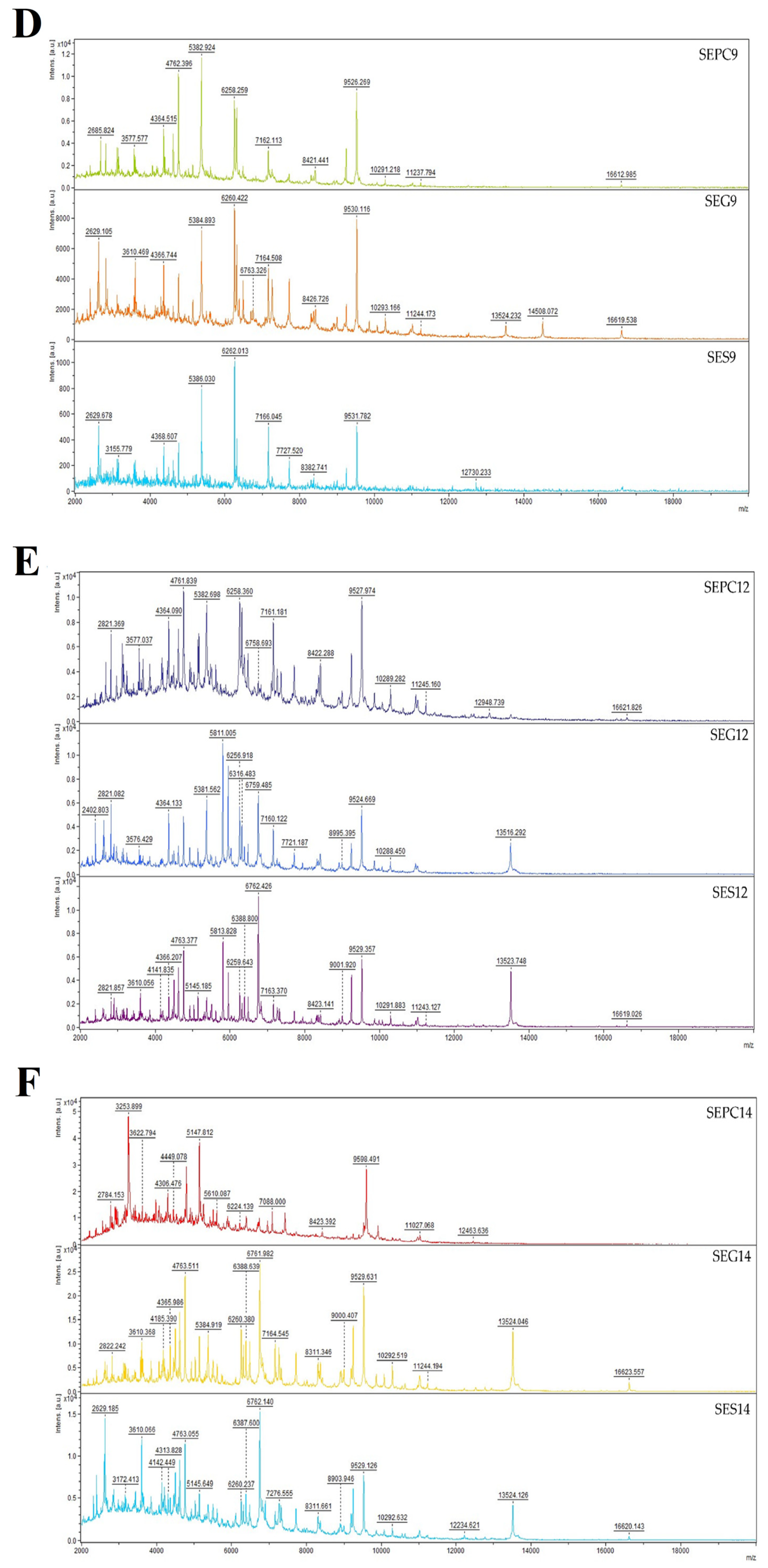 Plants 13 00524 g002b Plants 13 00524 g002b