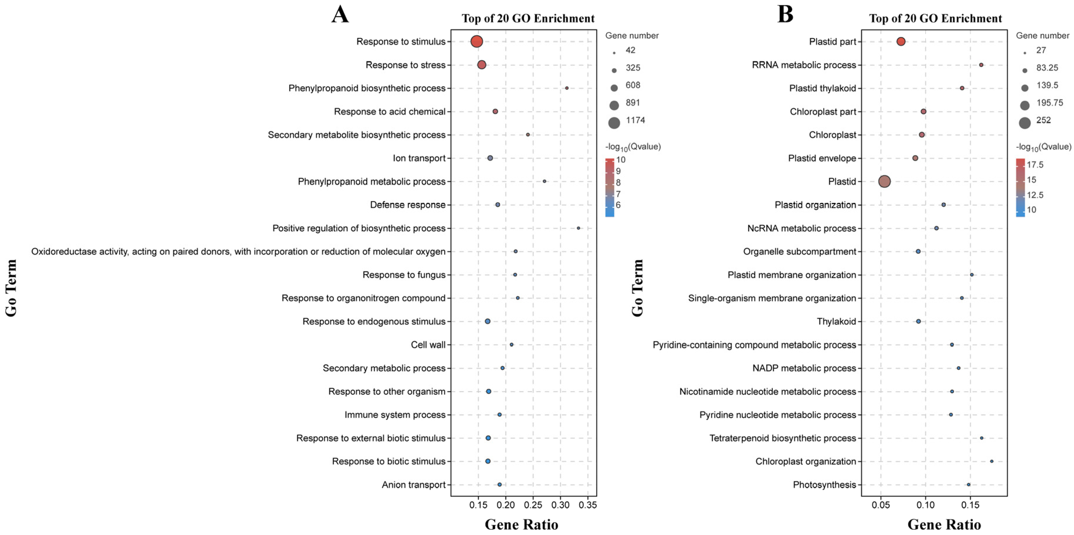Plants 13 00527 g004
