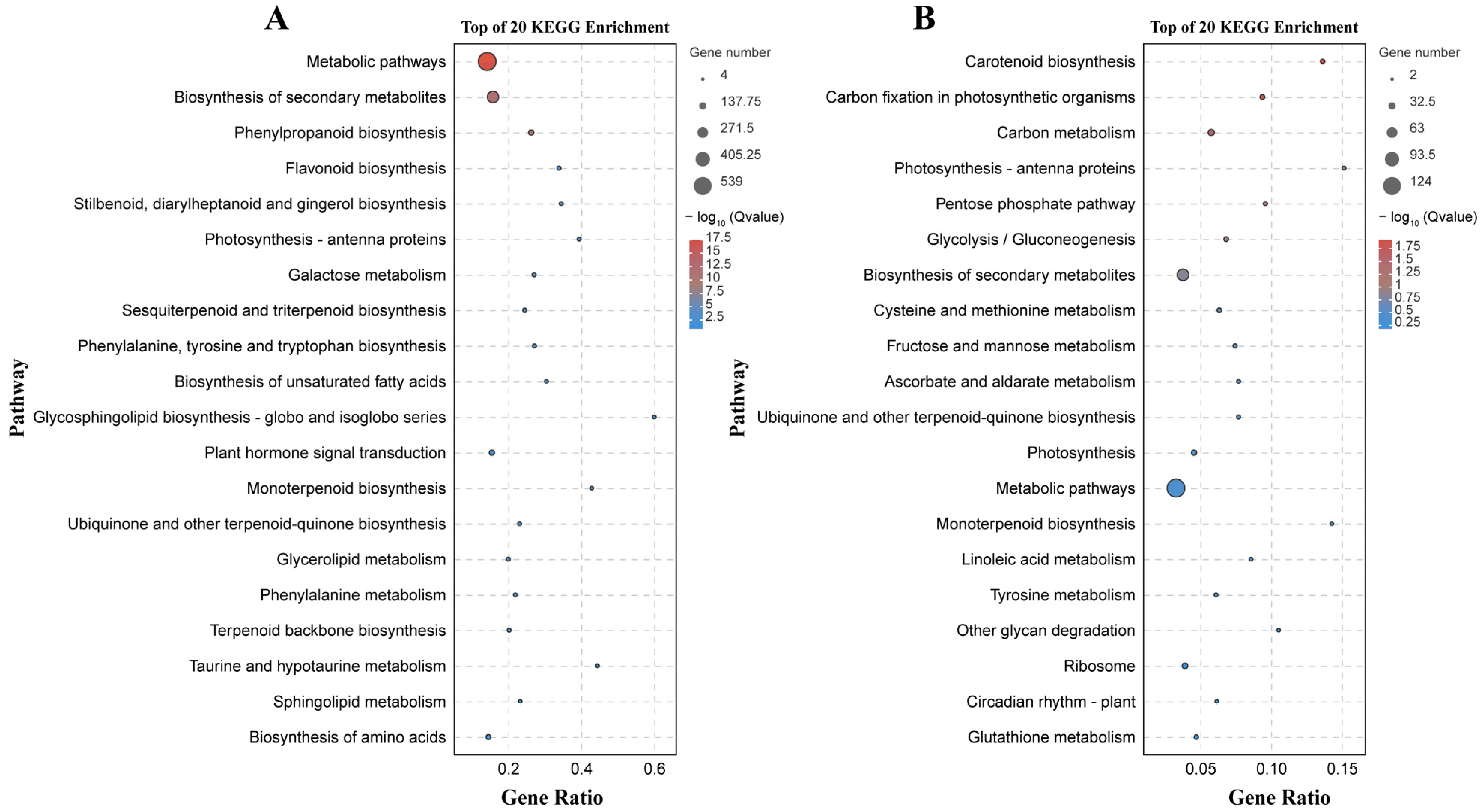 Plants 13 00527 g005