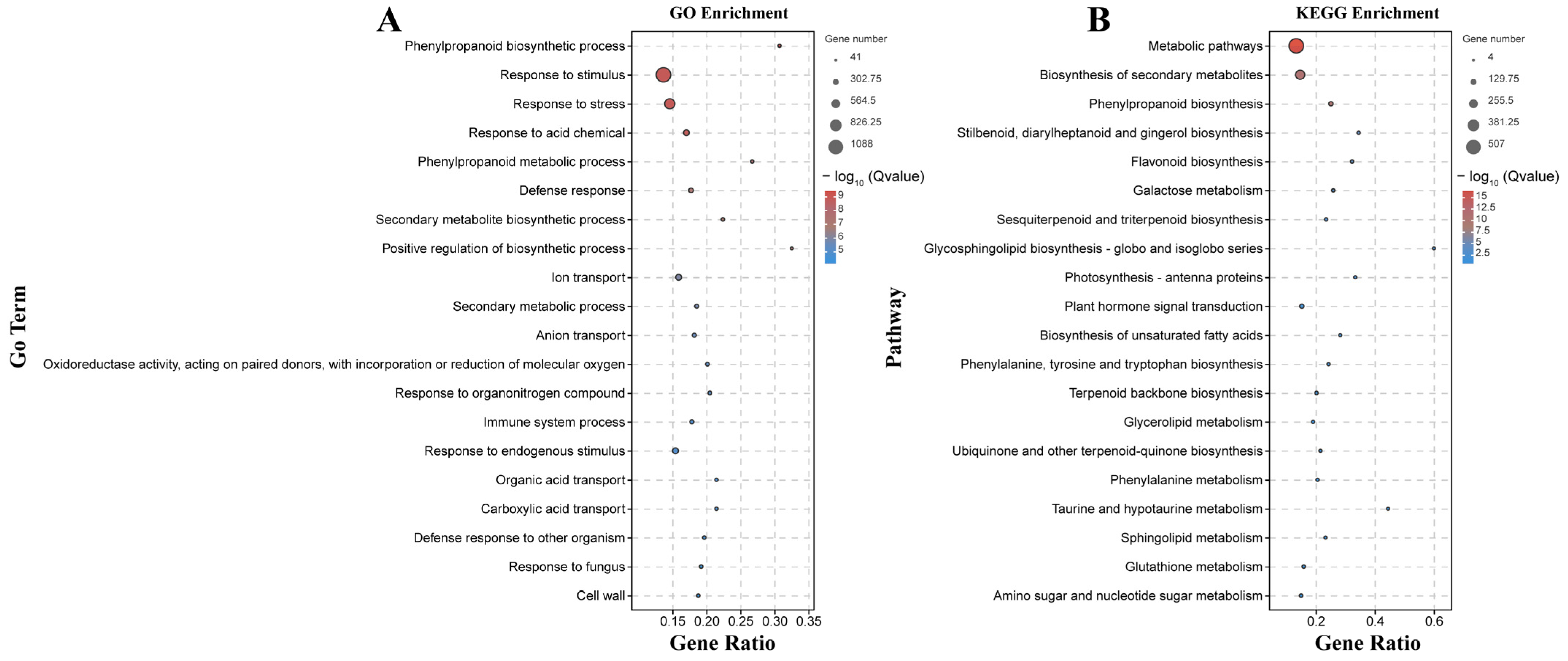 Plants 13 00527 g006