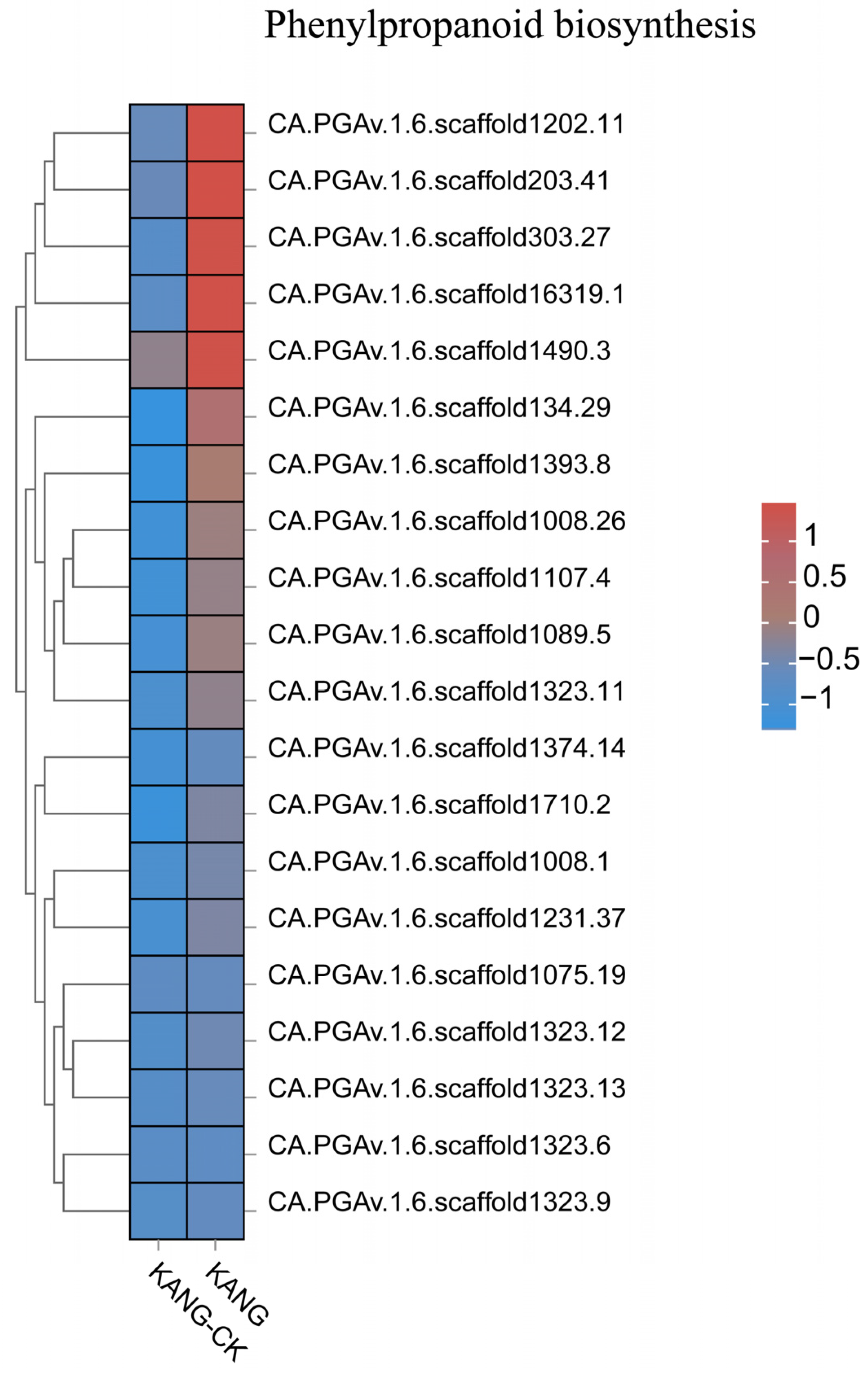 Plants 13 00527 g007