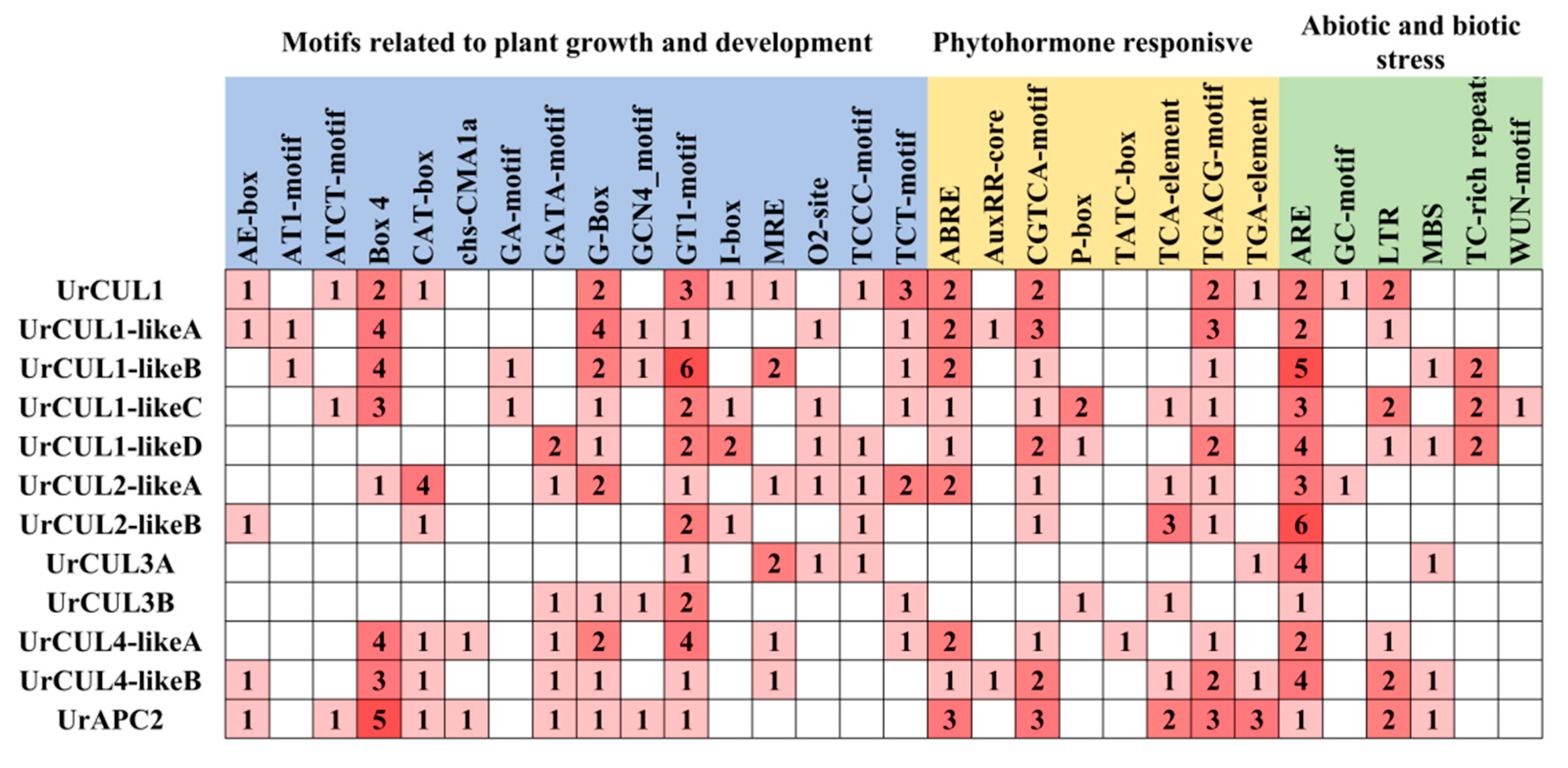 Plants 13 00532 g004
