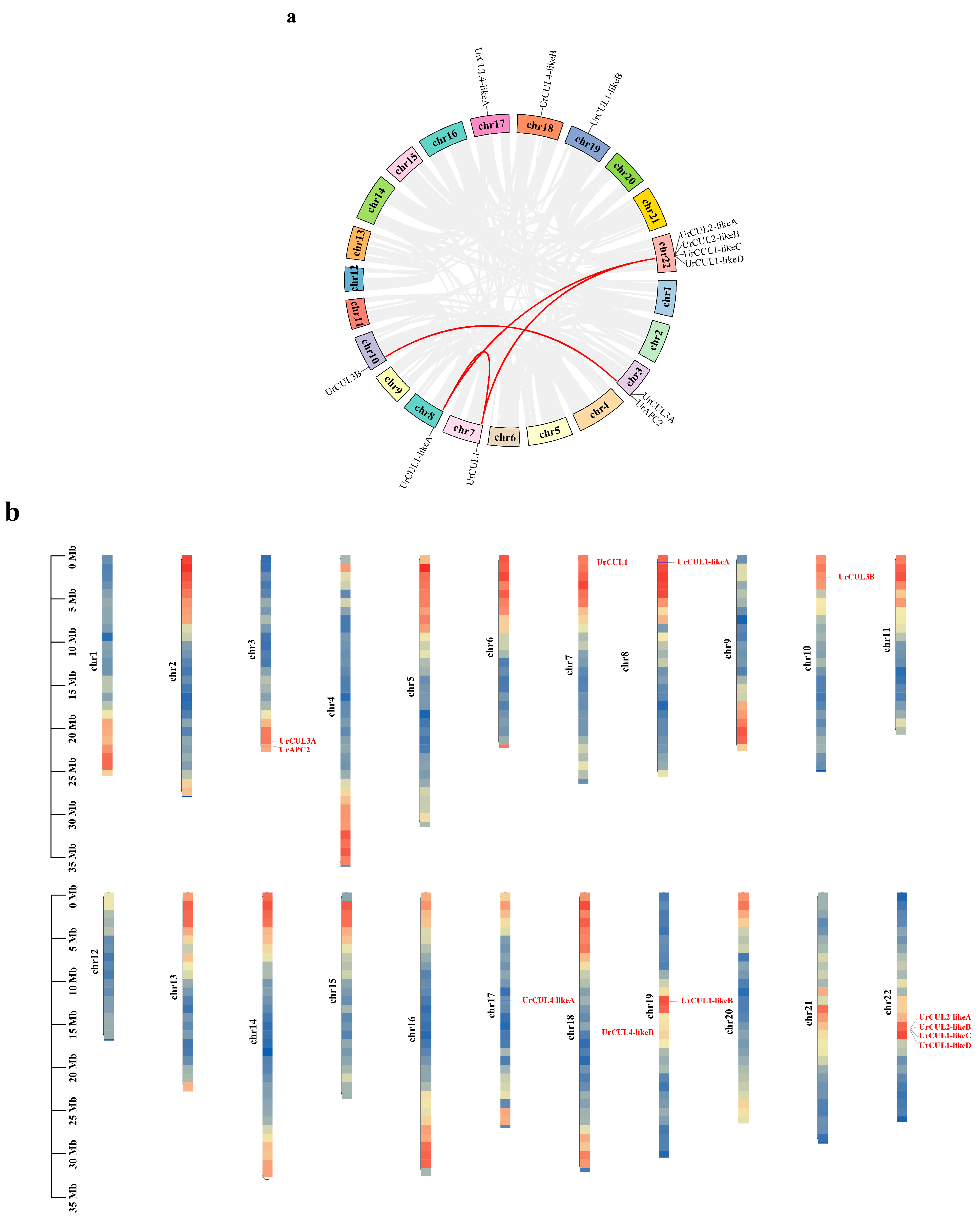 Plants 13 00532 g005a