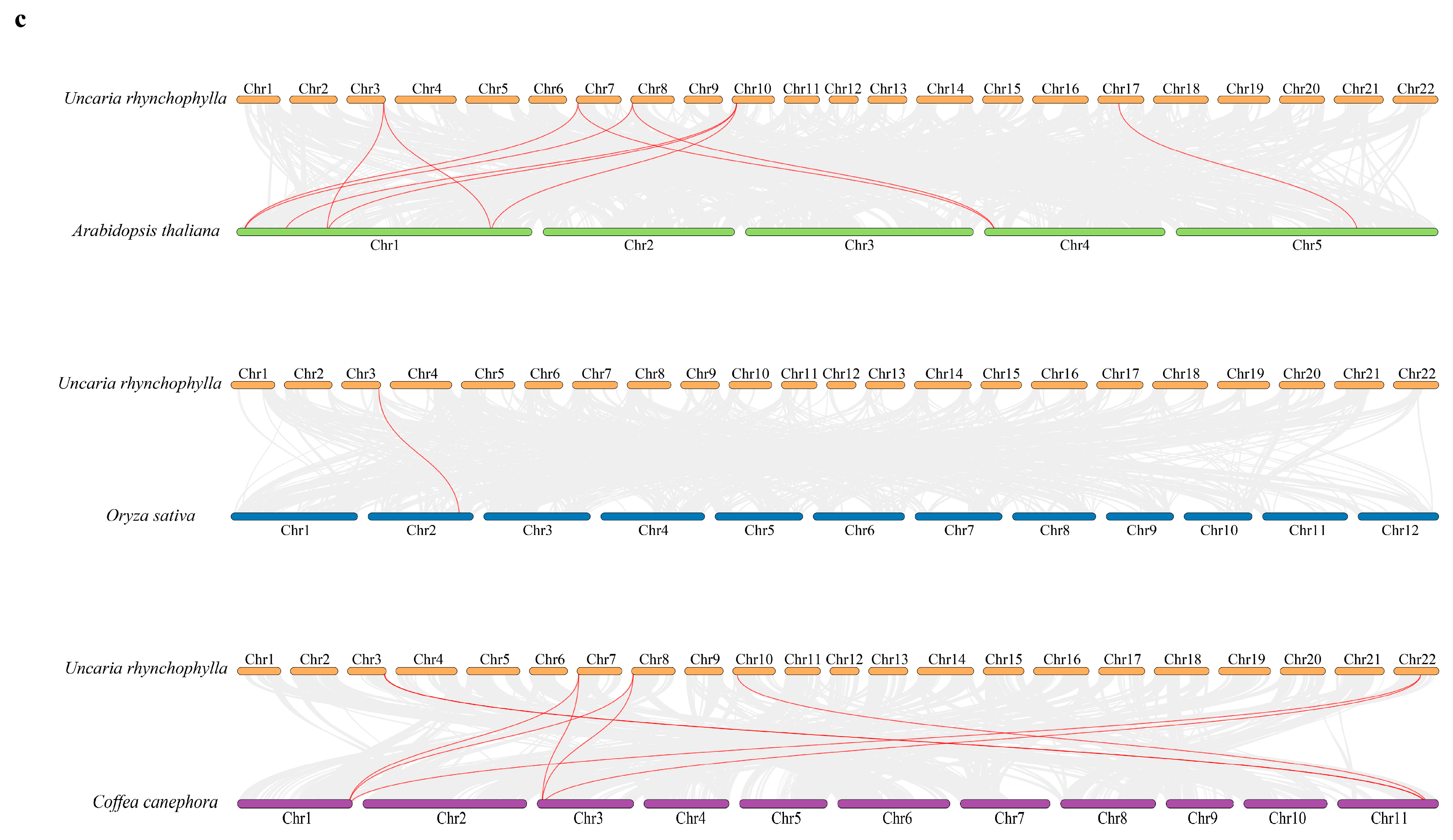 Plants 13 00532 g005b