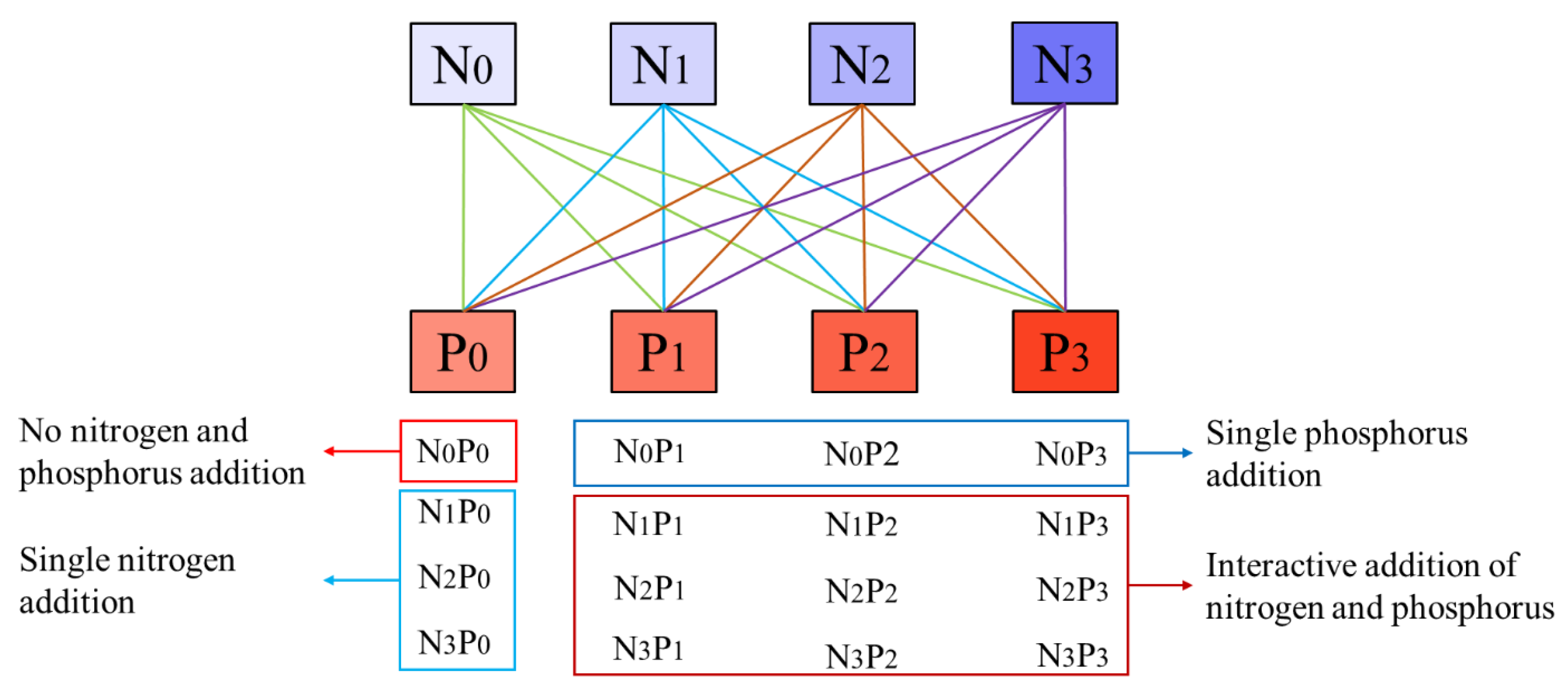 Plants 13 00536 g005 Plants 13 00536 g005