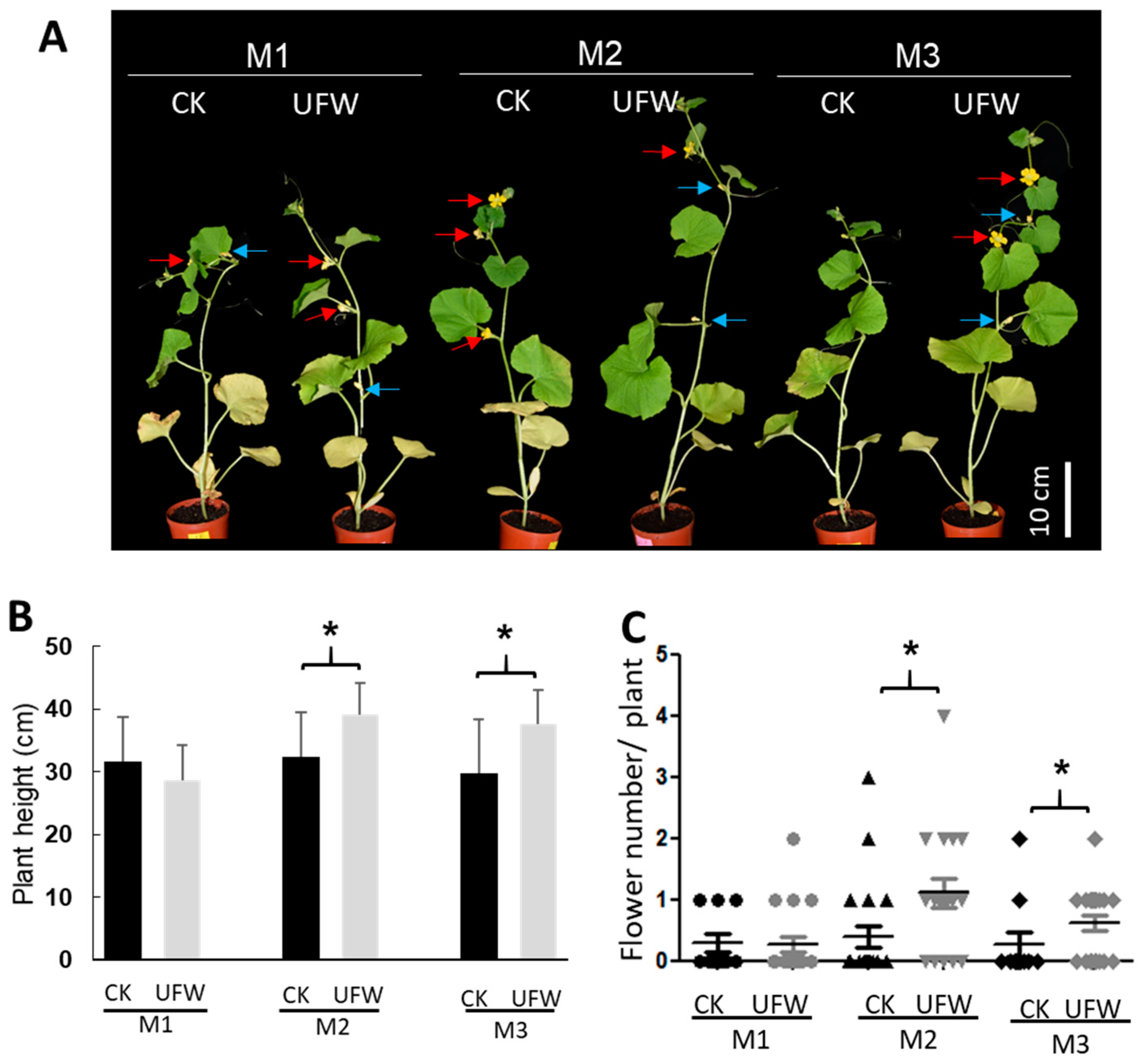 Plants 13 00537 g002