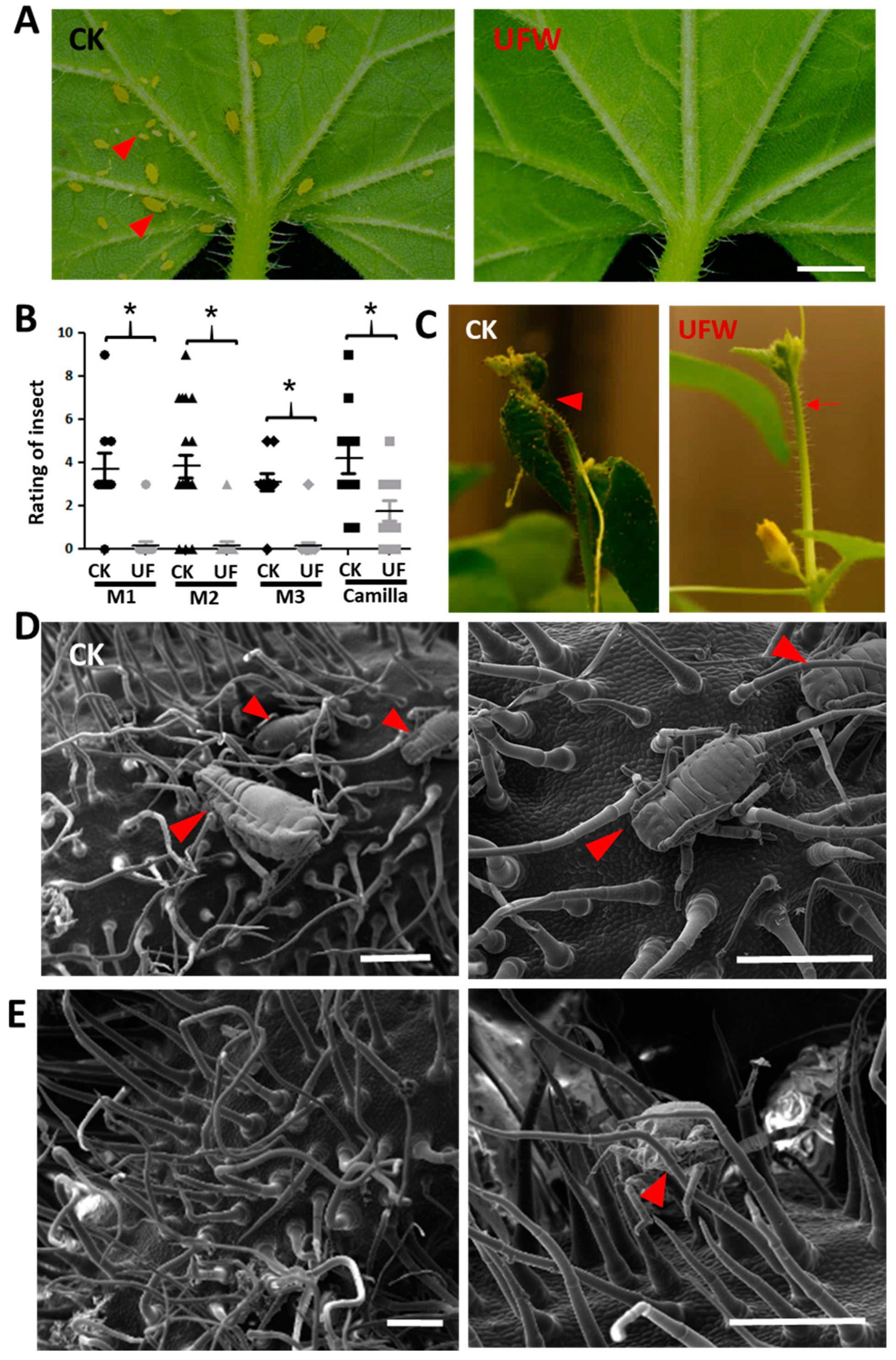 Plants 13 00537 g003
